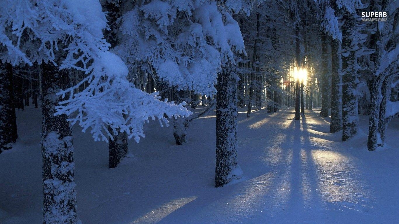 Winter, Natur, Bild, Kostenloser Download, Schnee, 1370x770 HD Desktop