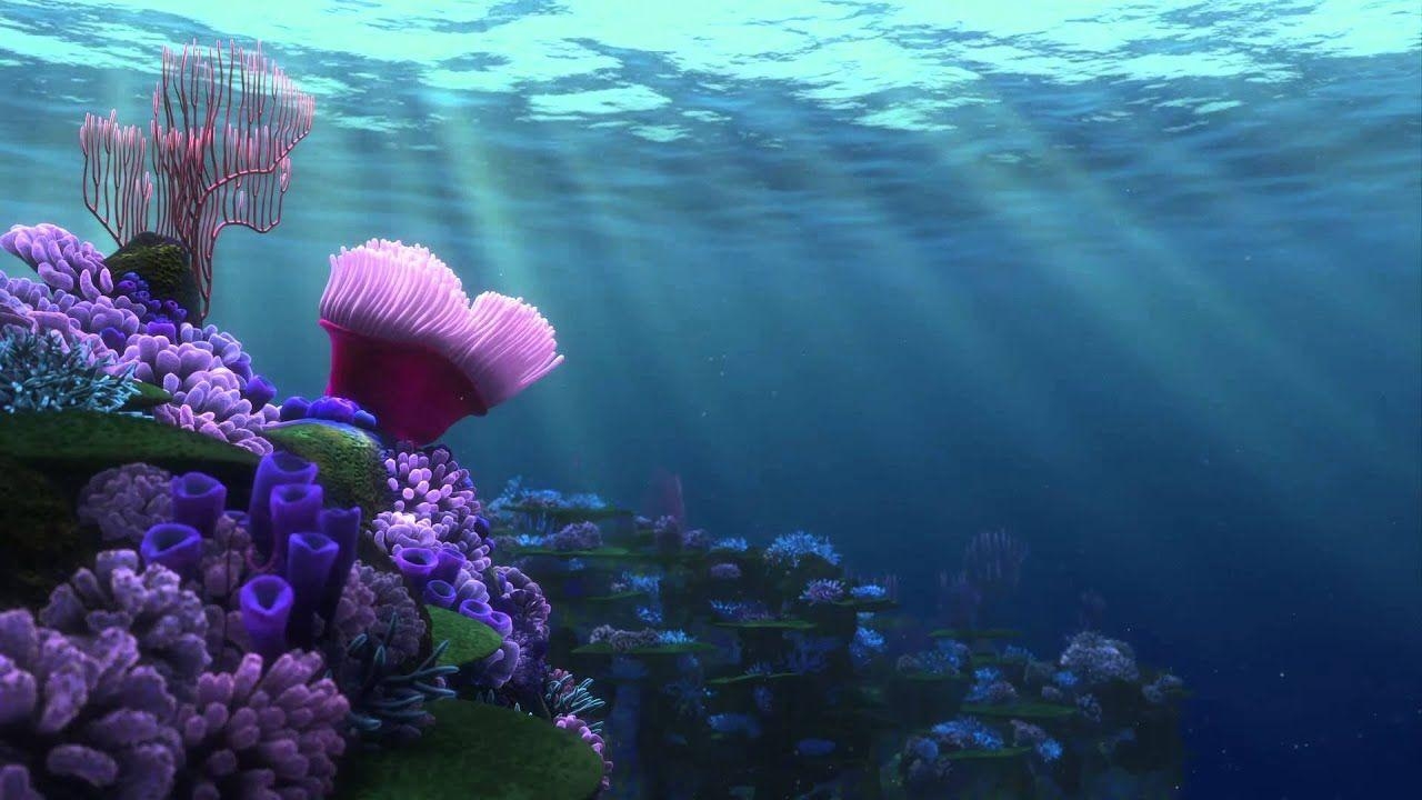 Findet Dorie, Korallenriff, Nemo, Disney, Pixar, 1280x720 HD Desktop