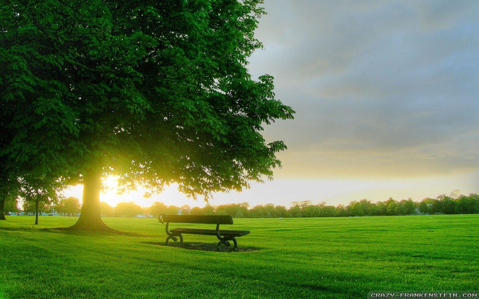 Sonnenaufgang, HD, Frühjahr, Natur, Desktop, 1600x1000 HD Desktop