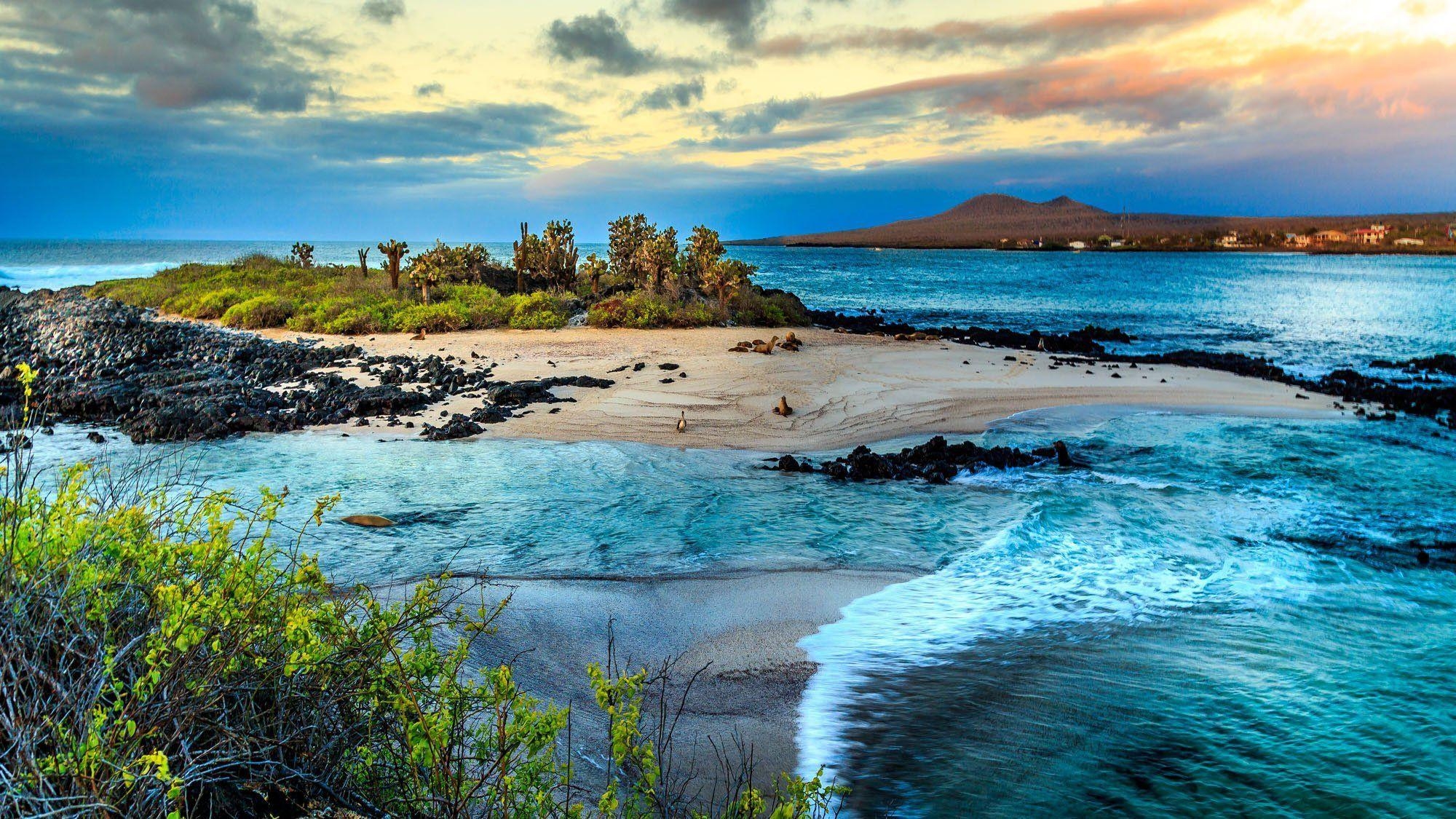 Galapagos-Inseln, Reisen, Ecuador, Natur, Tiere, 2000x1130 HD Desktop