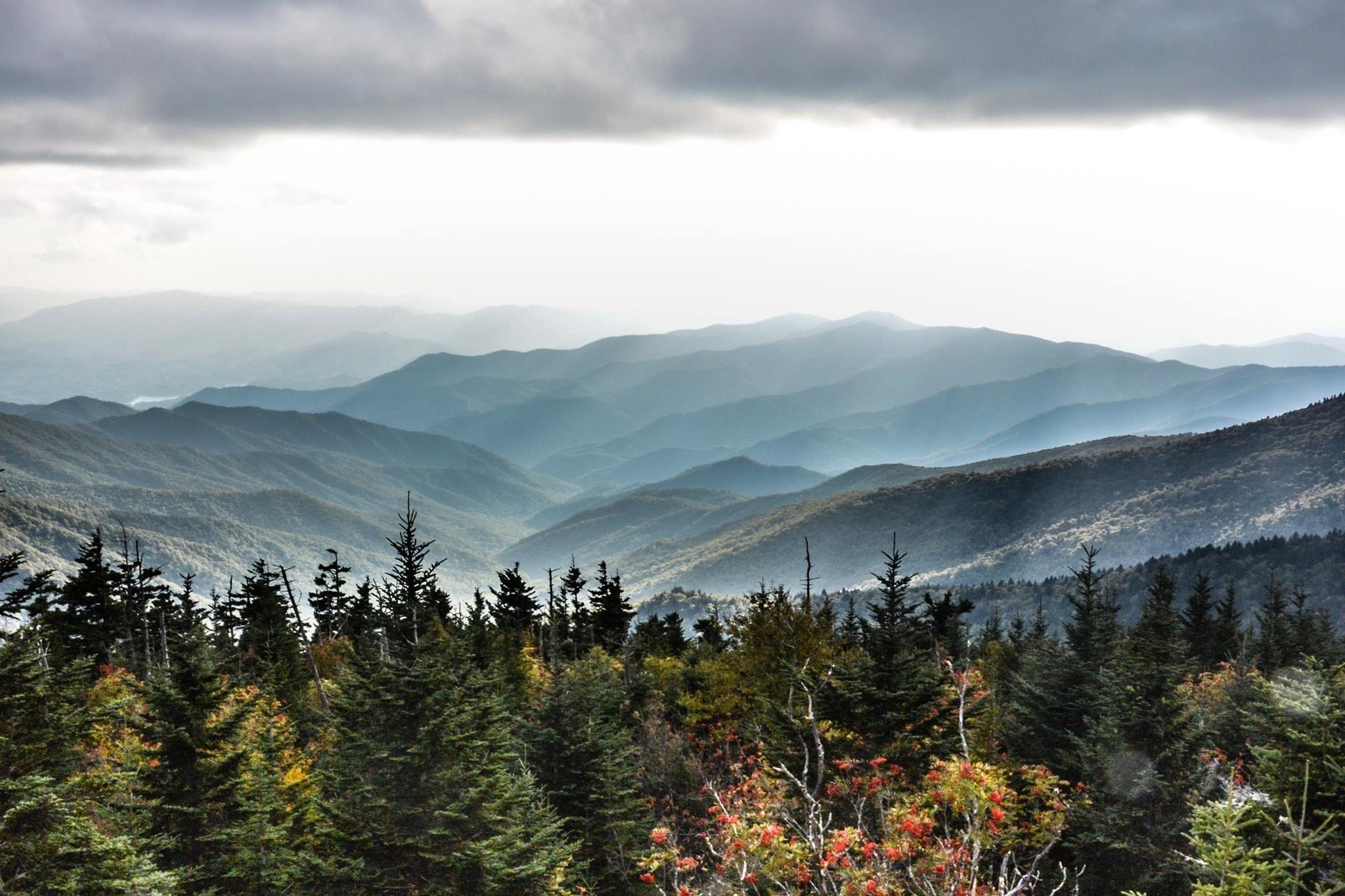 Clingmans Dome, Smoky Mountains, USA, Bilder, Natur, 2050x1370 HD Desktop