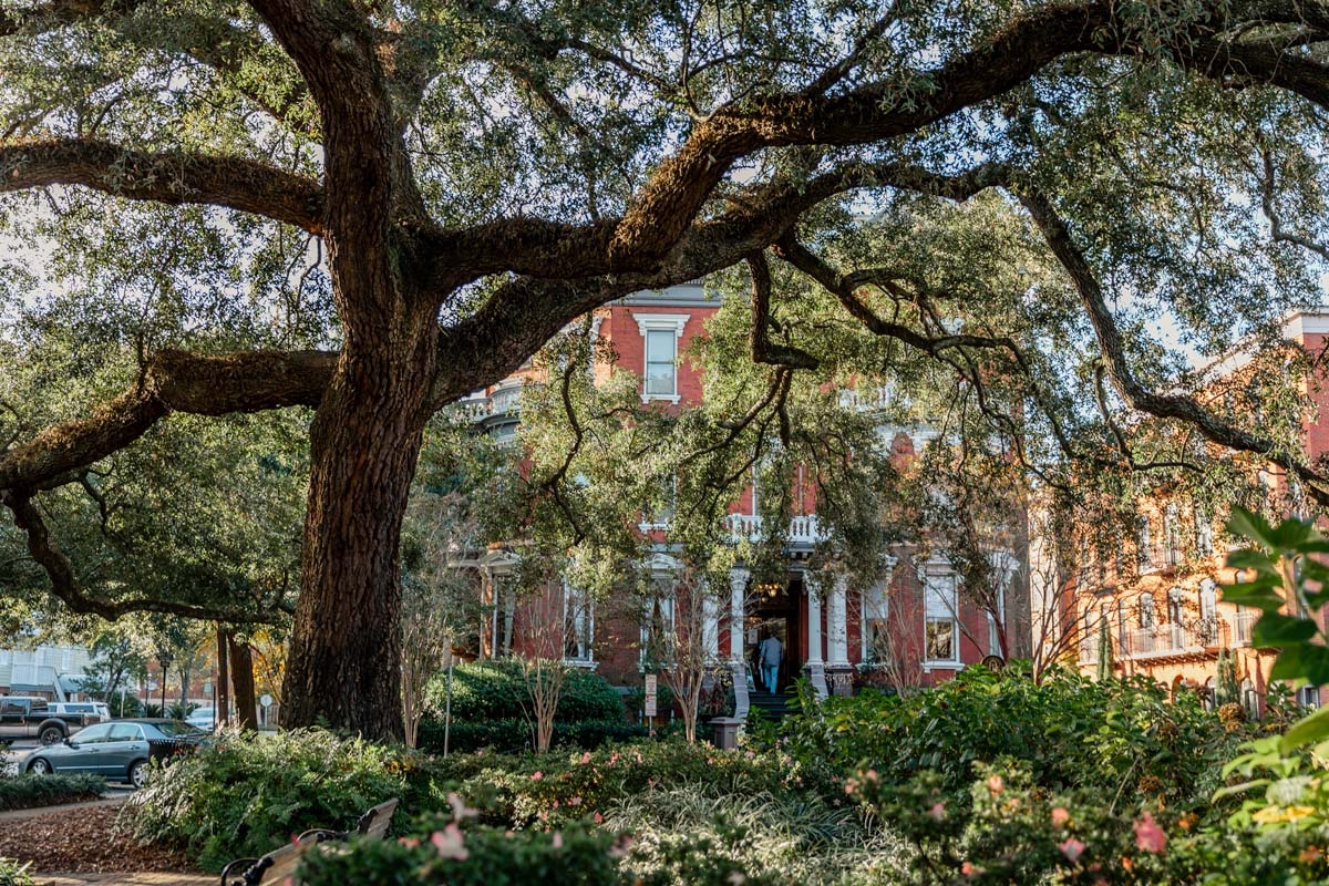 Savannah Georgia, Reisen, Sehenswürdigkeiten, USA, Erkundung, 1200x800 HD Desktop