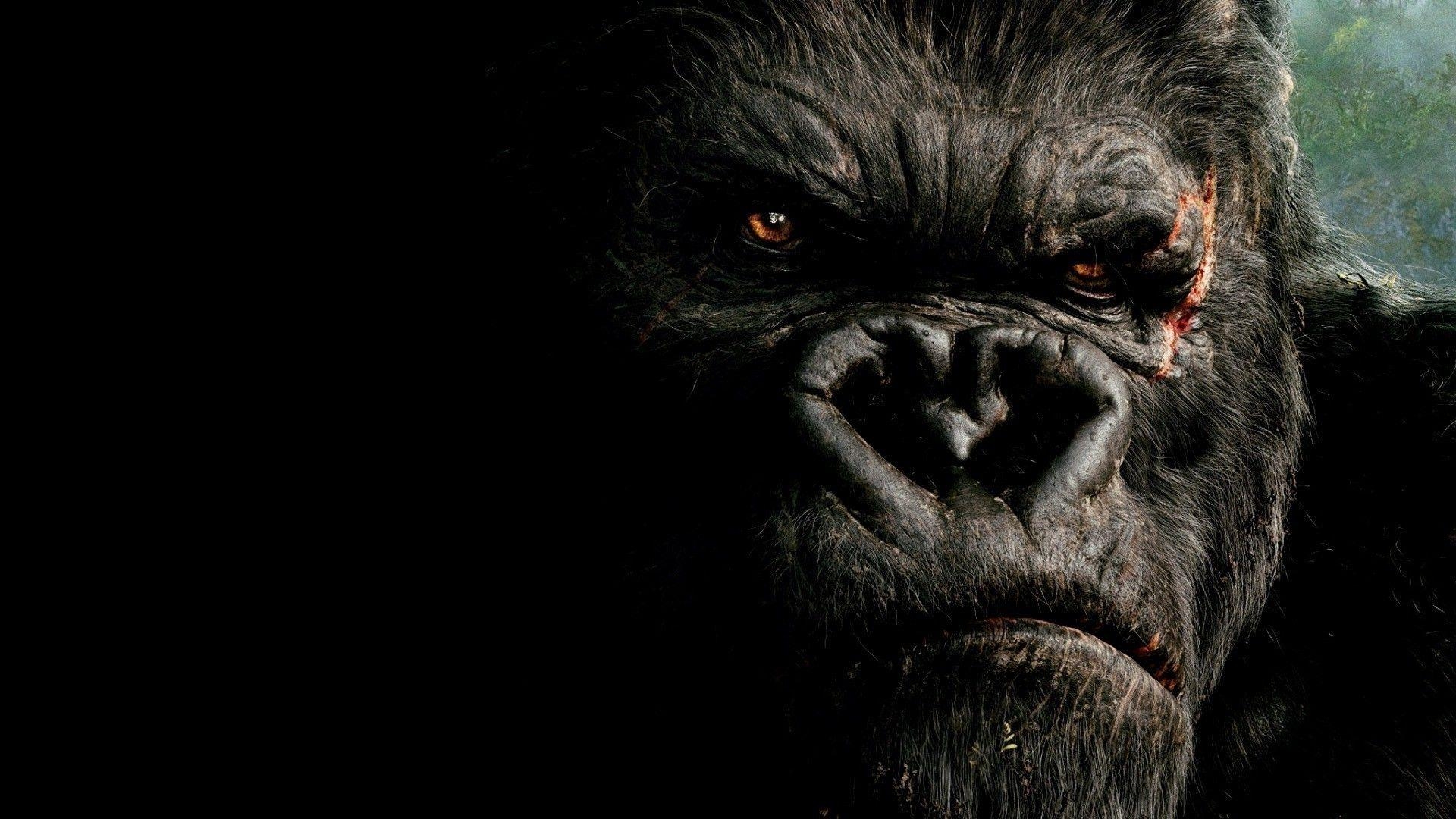 King Kong, Filme, Hintergrund, Abenteuer, Klassiker, 1920x1080 Full HD Desktop