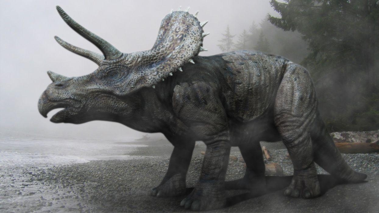 Triceratops, Dinosaurier, Hintergrund, Tiere, Bild, 1250x700 HD Desktop