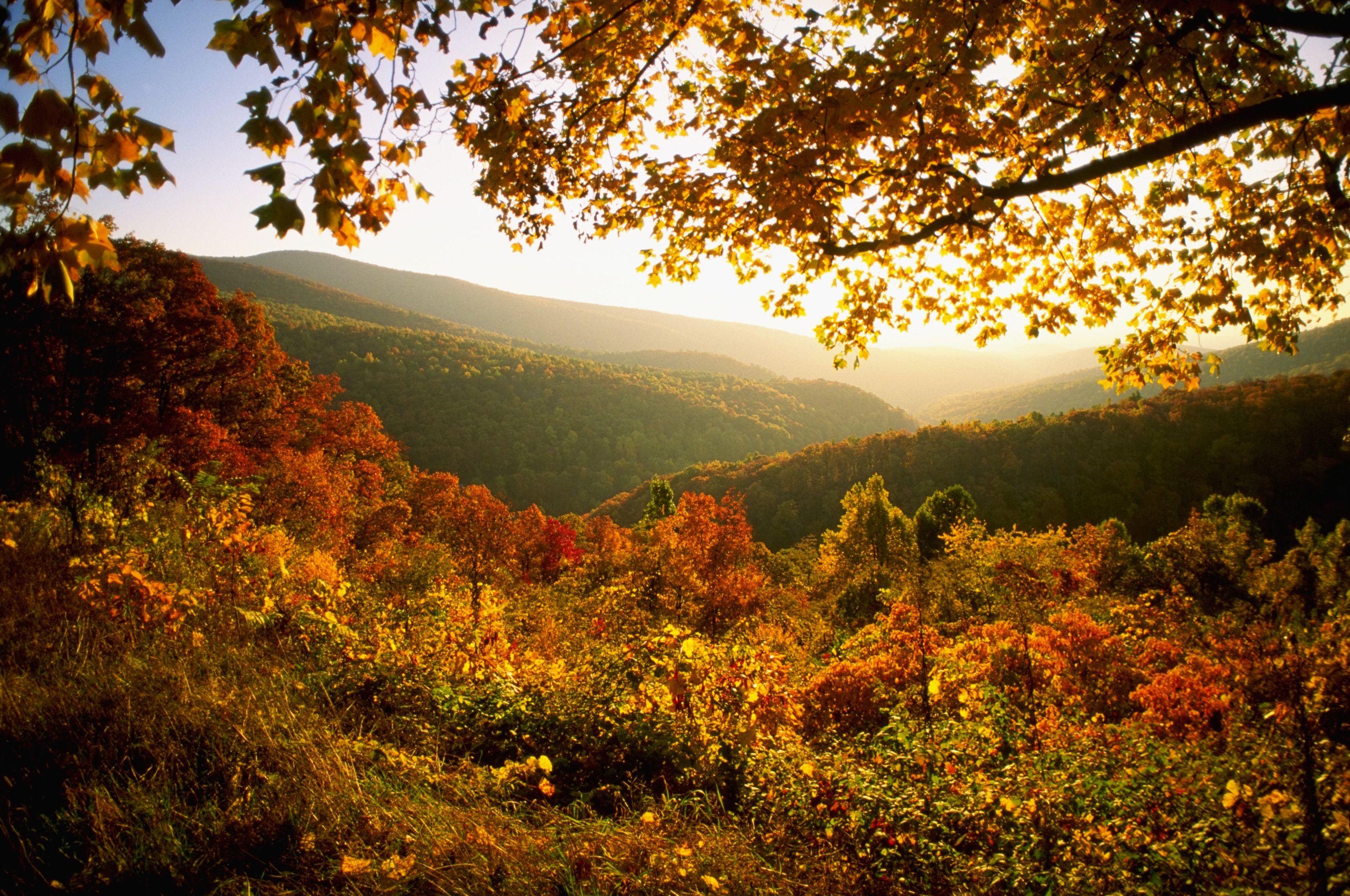 Virginia, Reisen, USA, Natur, Landschaft, 2970x1970 HD Desktop