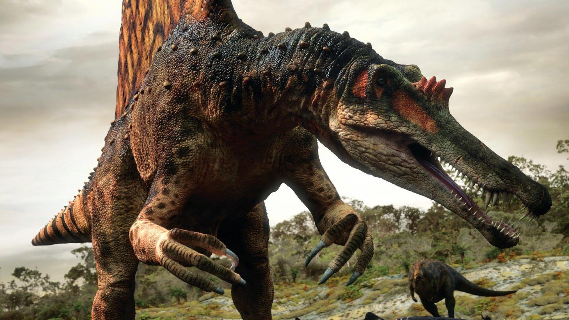 Spinosaurus, Dinosaurier, Handy, Hintergrundbild, Urzeit, 1920x1080 Full HD Desktop