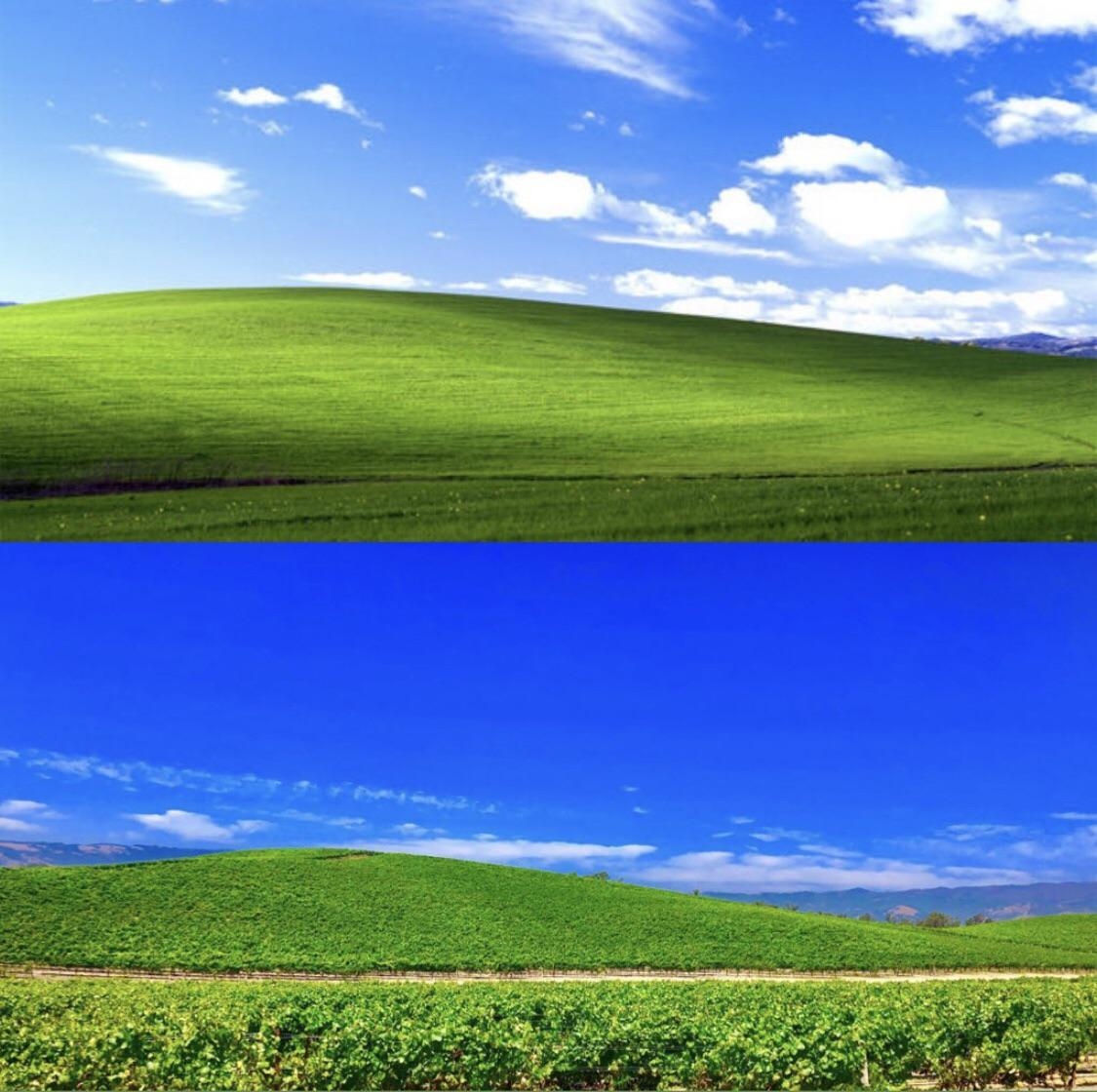 Napa Valley, Windows XP, Hintergrund, Reisen, Kalifornien, 1130x1120 HD Desktop