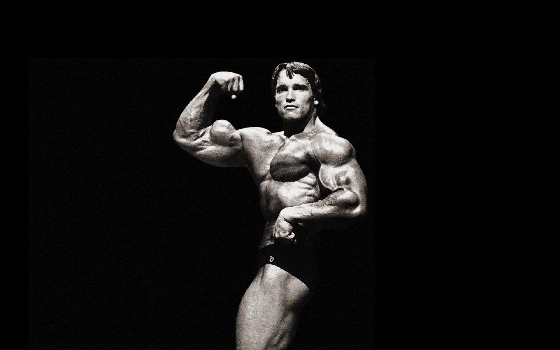 Arnold Schwarzenegger, Bodybuilding, Poster, Bild, Motivation, 1920x1200 HD Desktop