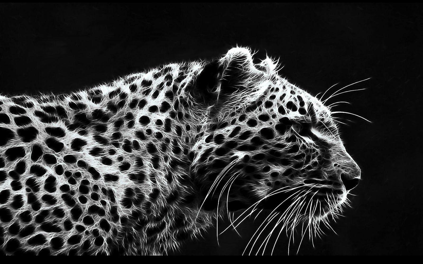 Gepard, Tiere, Gratis, Download, Hintergrund, 1600x1000 HD Desktop