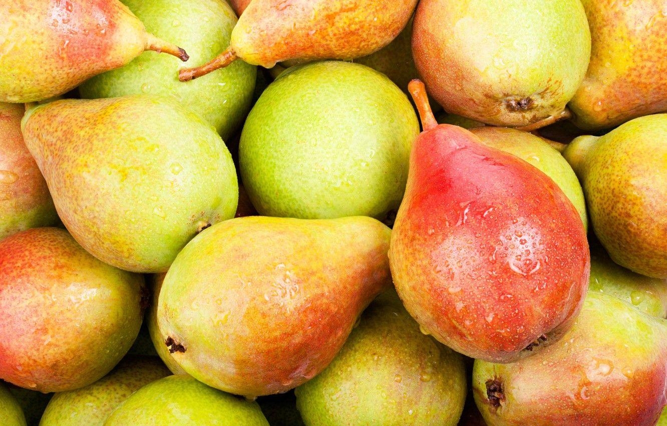 Frucht, Birne, Obstqualität, Bild, Hintergrund, 1340x850 HD Desktop