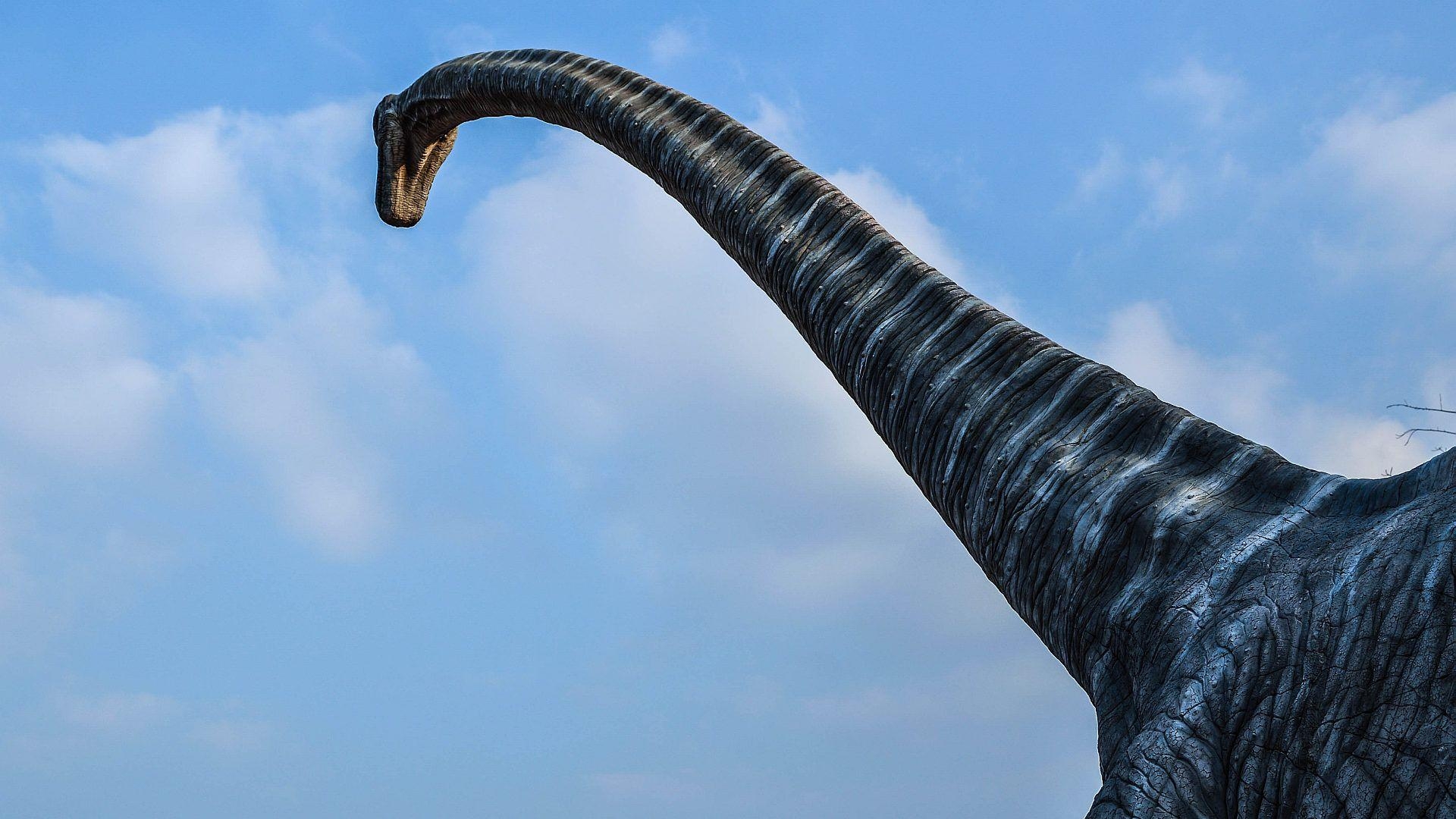 Brachiosaurus, Dinosaurier, HD, Hintergrund, Mobil, 1920x1080 Full HD Desktop