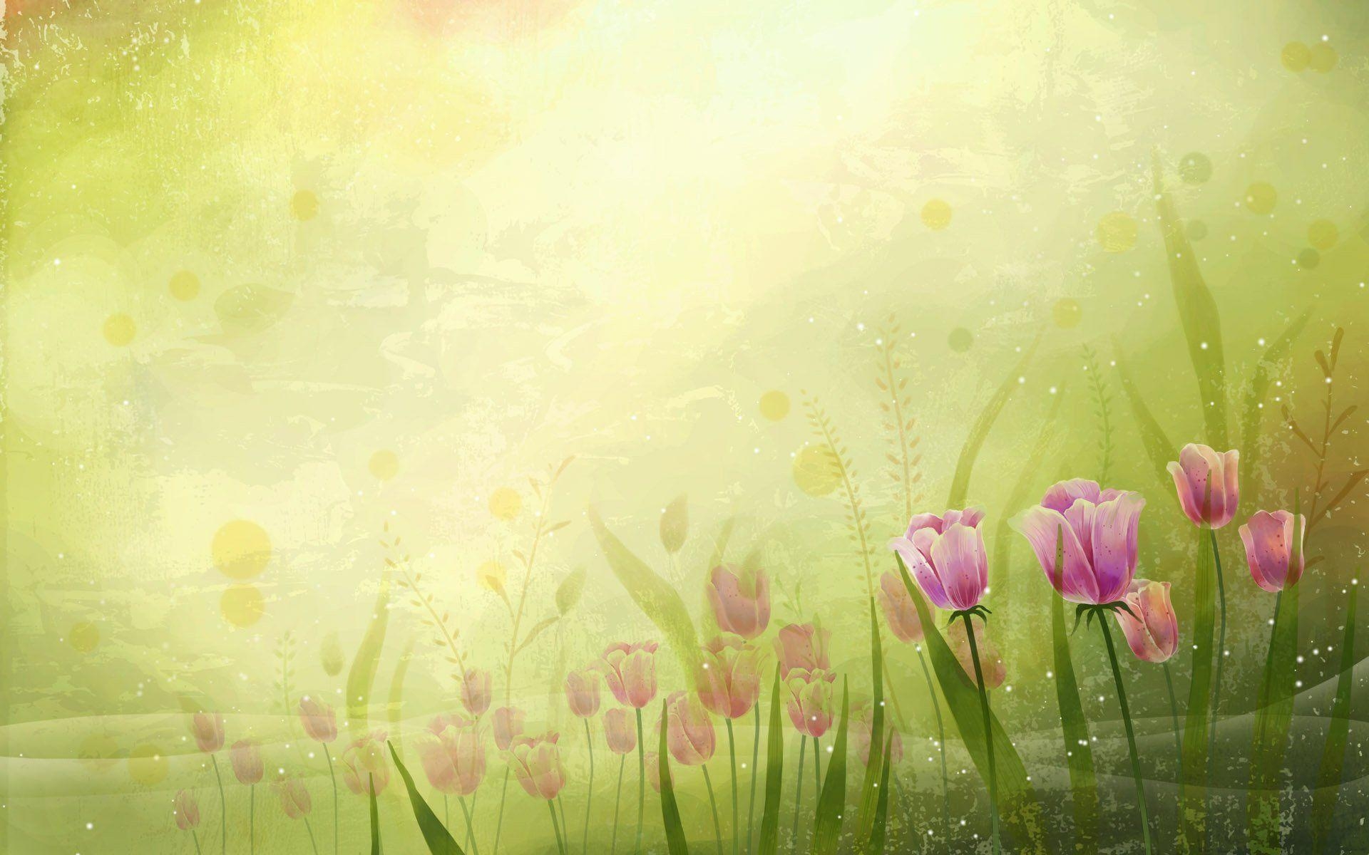 Tulpe Natur, Hintergrund, Desktop-Bild, Frühling, Erneuerung, 1920x1200 HD Desktop