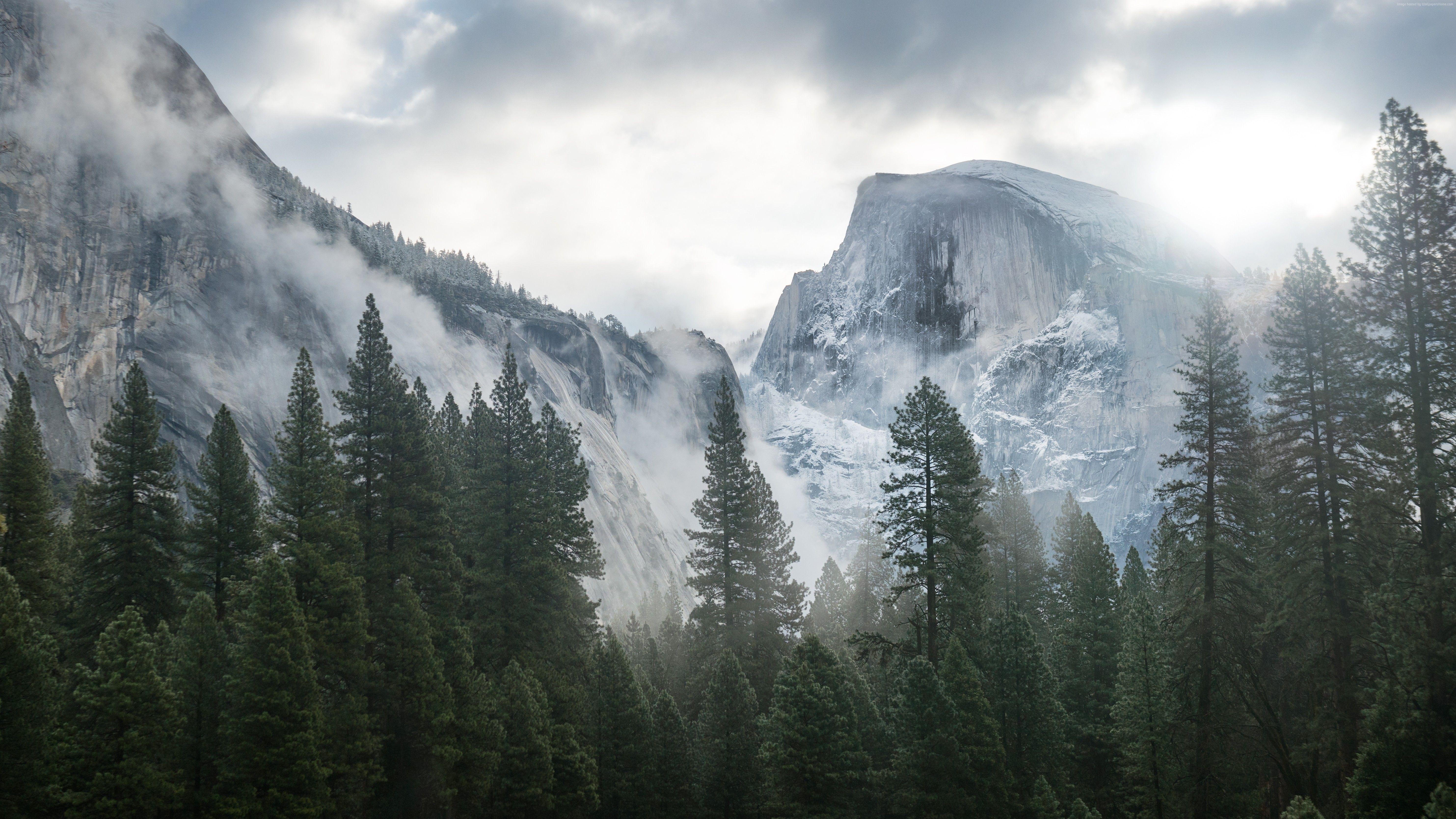 Yosemite, 5K, Apple, Wald, Natur, 5940x3340 4K Desktop