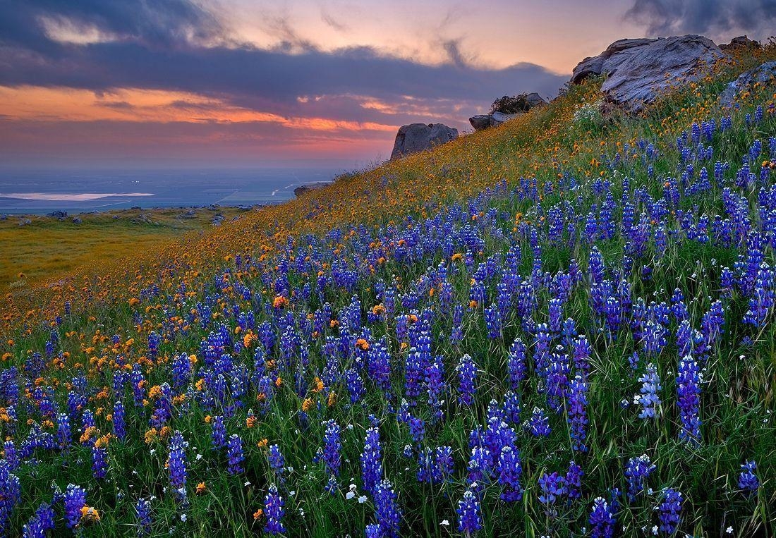 Texas Hill Country, Reisefoto, USA, Natur, Landschaft, 1100x770 HD Desktop