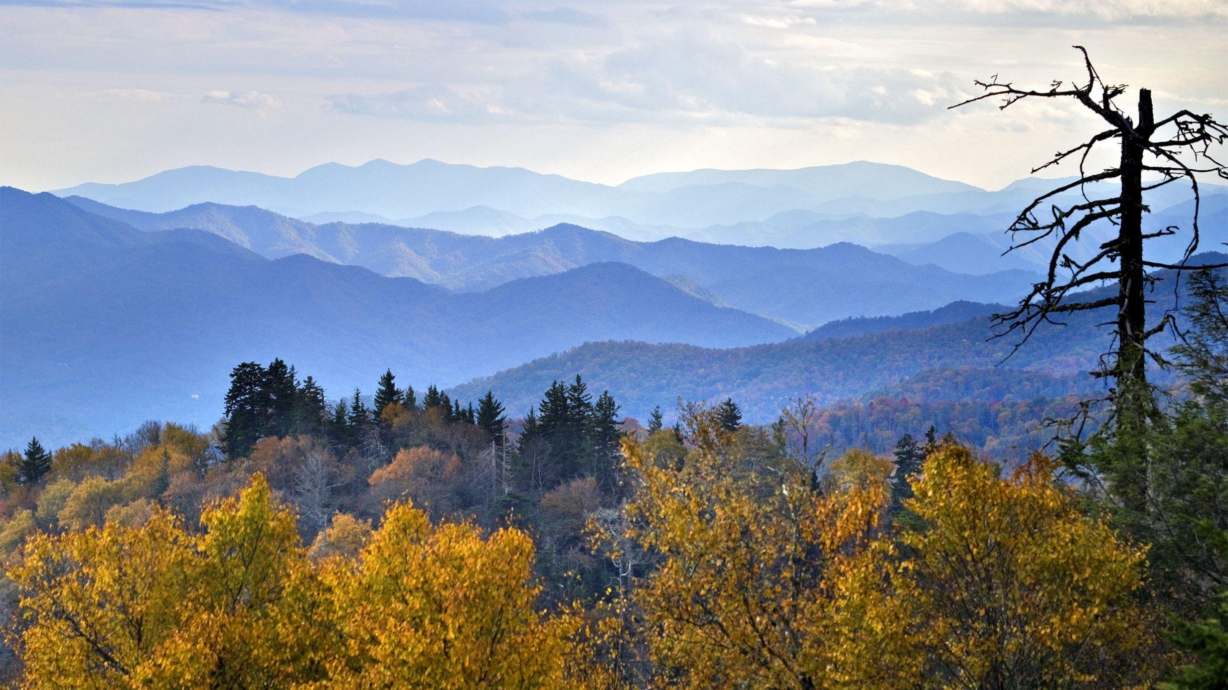 Fog, Smoky Mountains, Katolog, Natur, USA, 2470x1390 HD Desktop