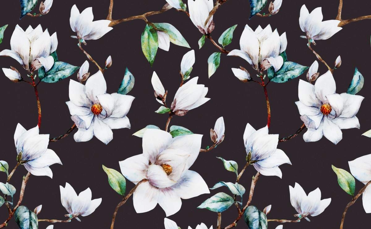 Magnolienblüten, Wandbild, Natur, Blumen, Wohnzimmer, 1200x750 HD Desktop