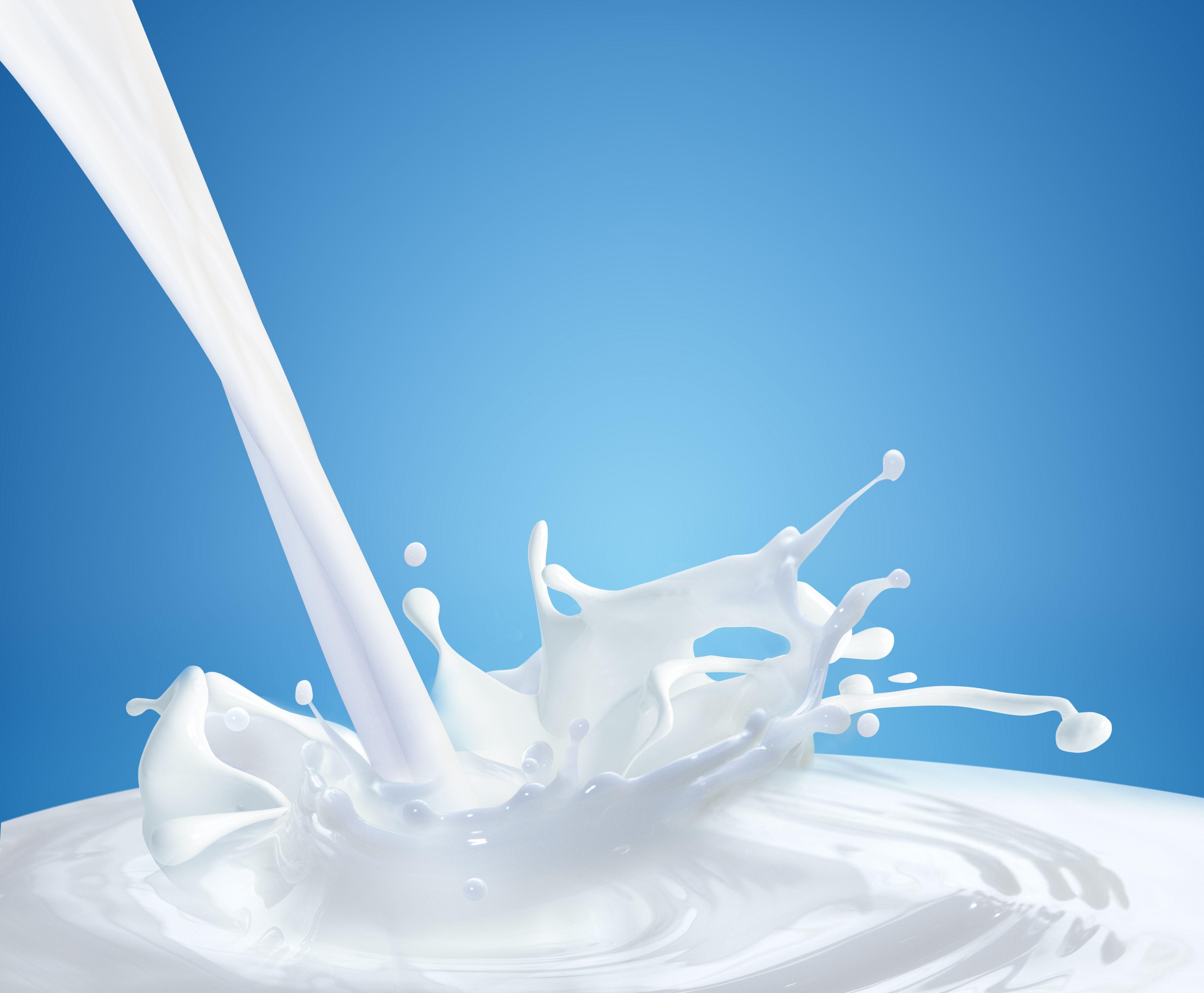 Milch, Kekse, Snack, Hintergrundbild, Lebensmittel, 4600x3800 4K Desktop