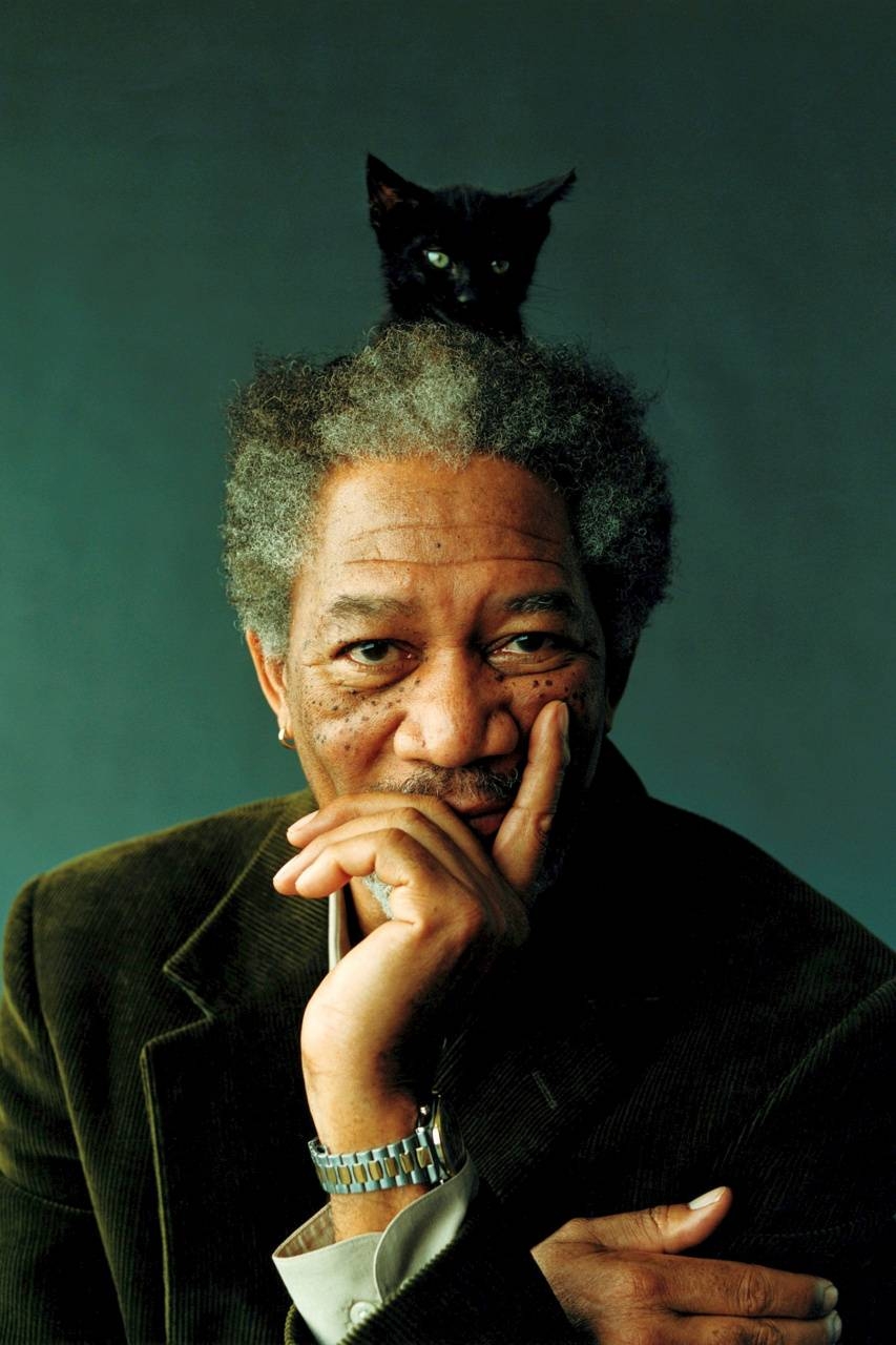 Morgan Freeman, Filmikone, Porträt, Bild, HD, 860x1280 HD Handy