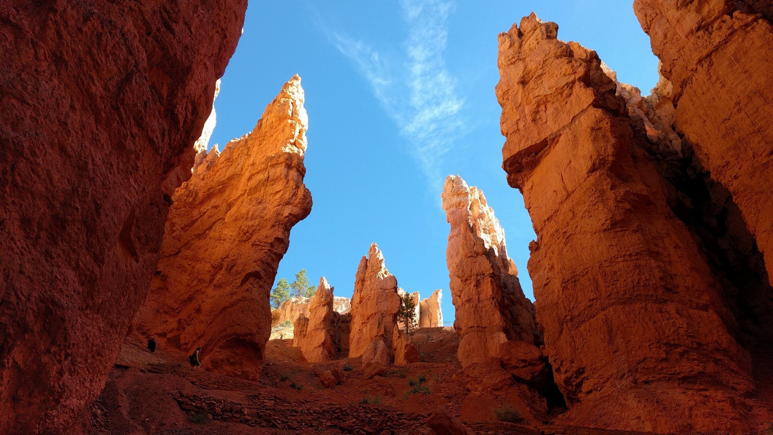 Bryce Canyon, Nationalpark, Reisen, Natur, Tal, 2560x1440 HD Desktop