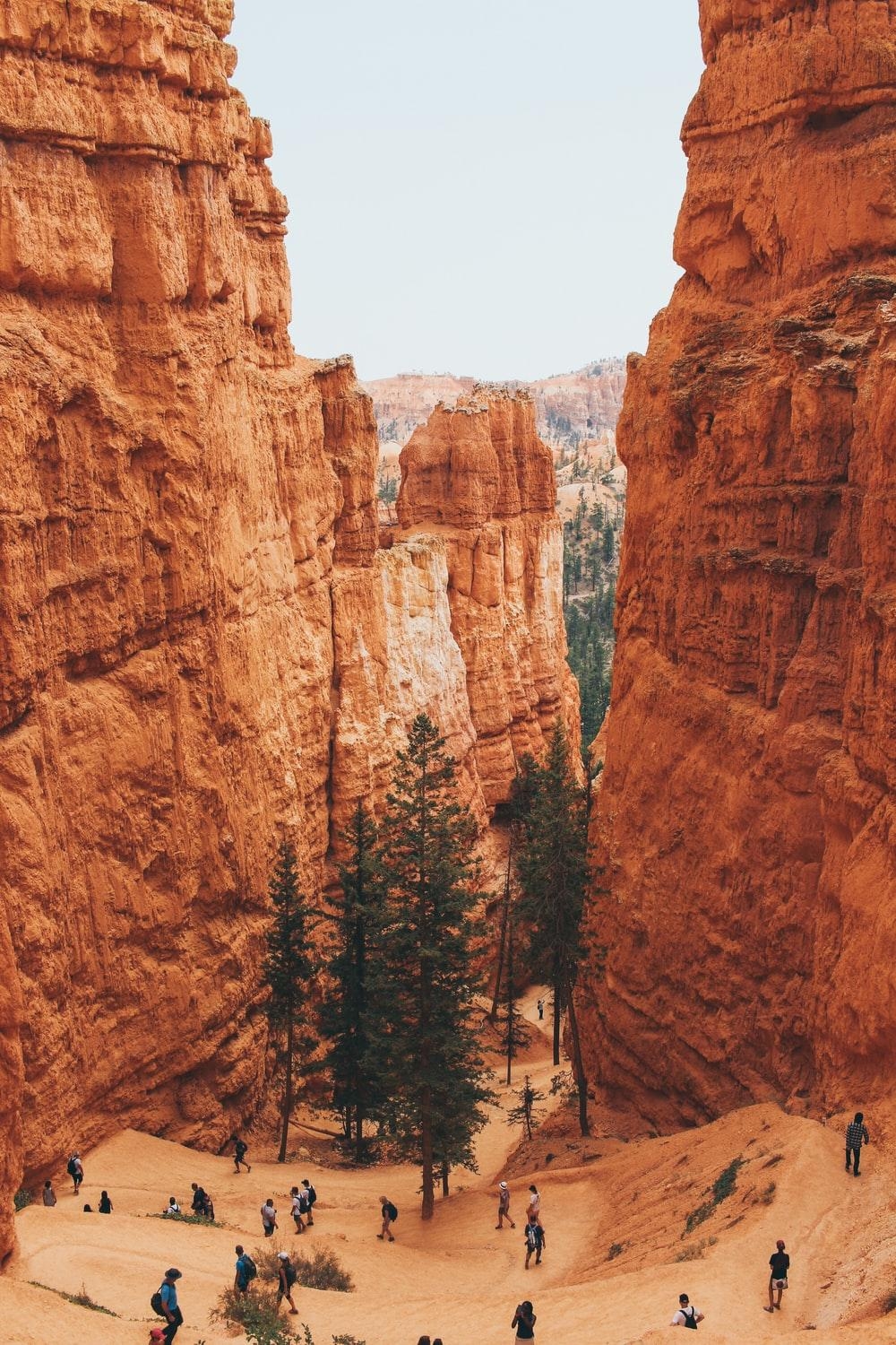 Bryce Canyon, Bild, Kostenlos, Download, Fotografie, 1000x1500 HD Handy