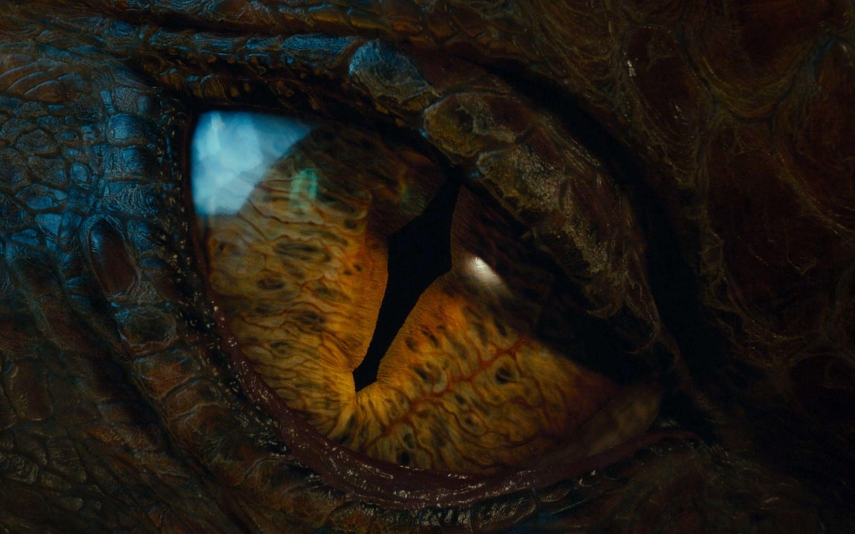 Der Hobbit, Smaug, Fantasy, HD, Hintergrund, 2880x1800 HD Desktop