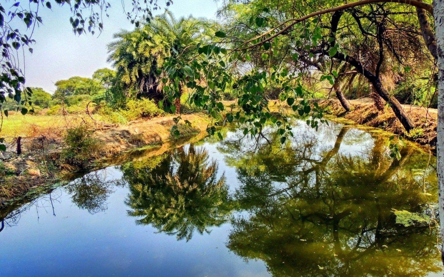 Ghana, Vogelreservat, Landschaft, Afrika, Hintergrund, 1440x900 HD Desktop