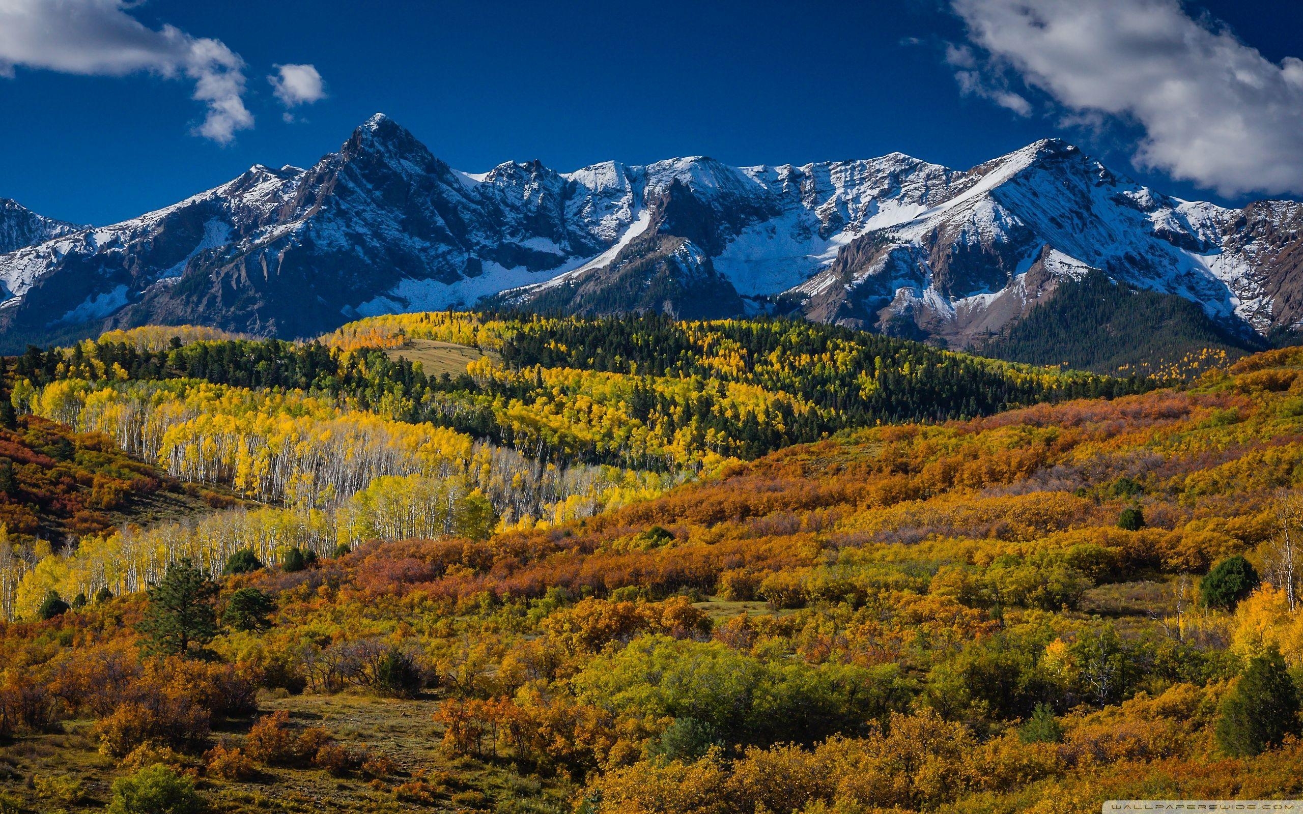 Berglandschaft, Aspen, Colorado, 4K, Hintergrund, 2560x1600 HD Desktop