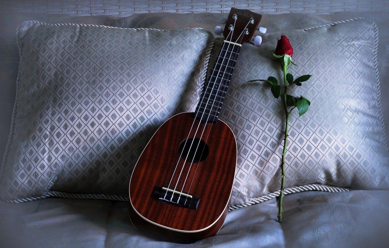 Ukulele, Rose, Liebe, Bild, Desktop, 1340x850 HD Desktop