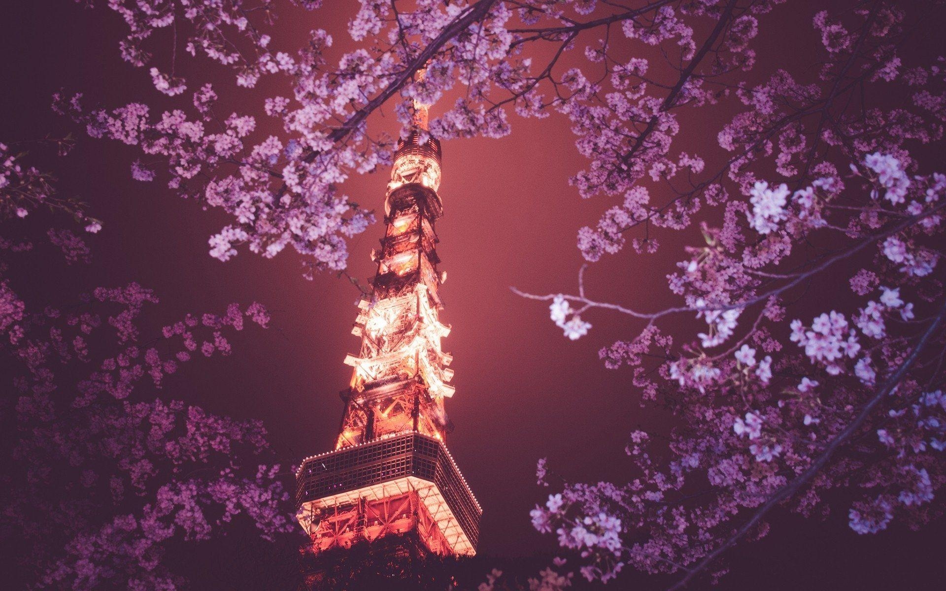 Tokyo Tower, HD, Hintergrundbild, Japan, Reisen, 1920x1200 HD Desktop