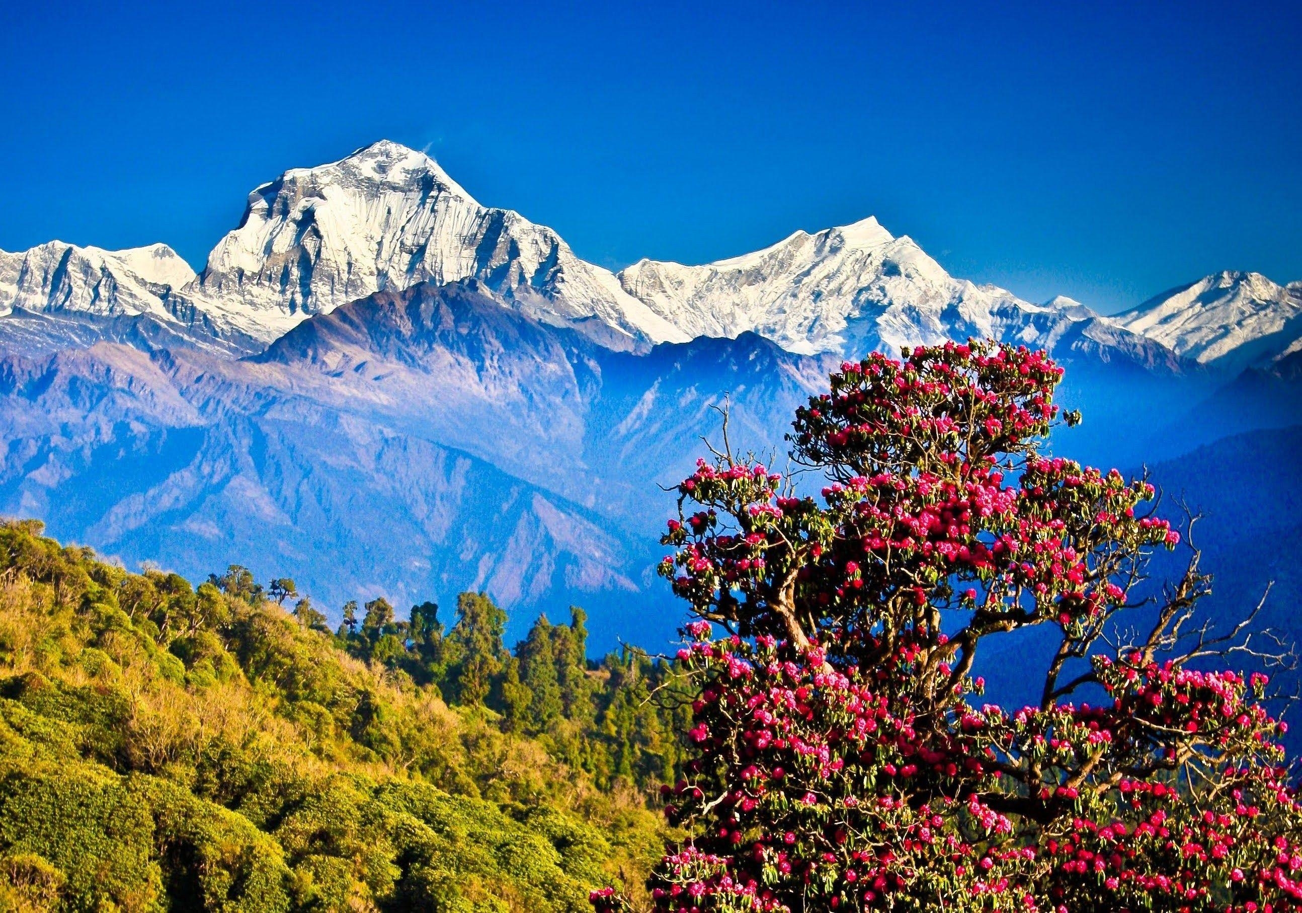 Himalayas, Sichere Reise, Atemberaubend, Natur, Hintergrund, 2590x1820 HD Desktop