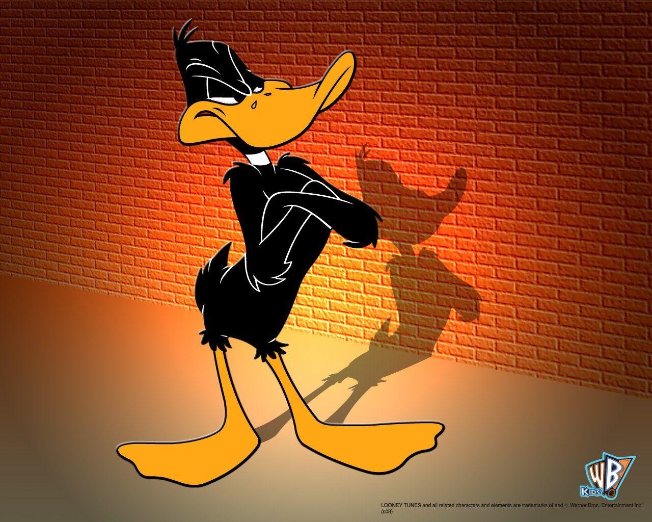 Daffy Duck, PC, Bilder, Zeichentrick-Figur, Kult, 1280x1030 HD Desktop