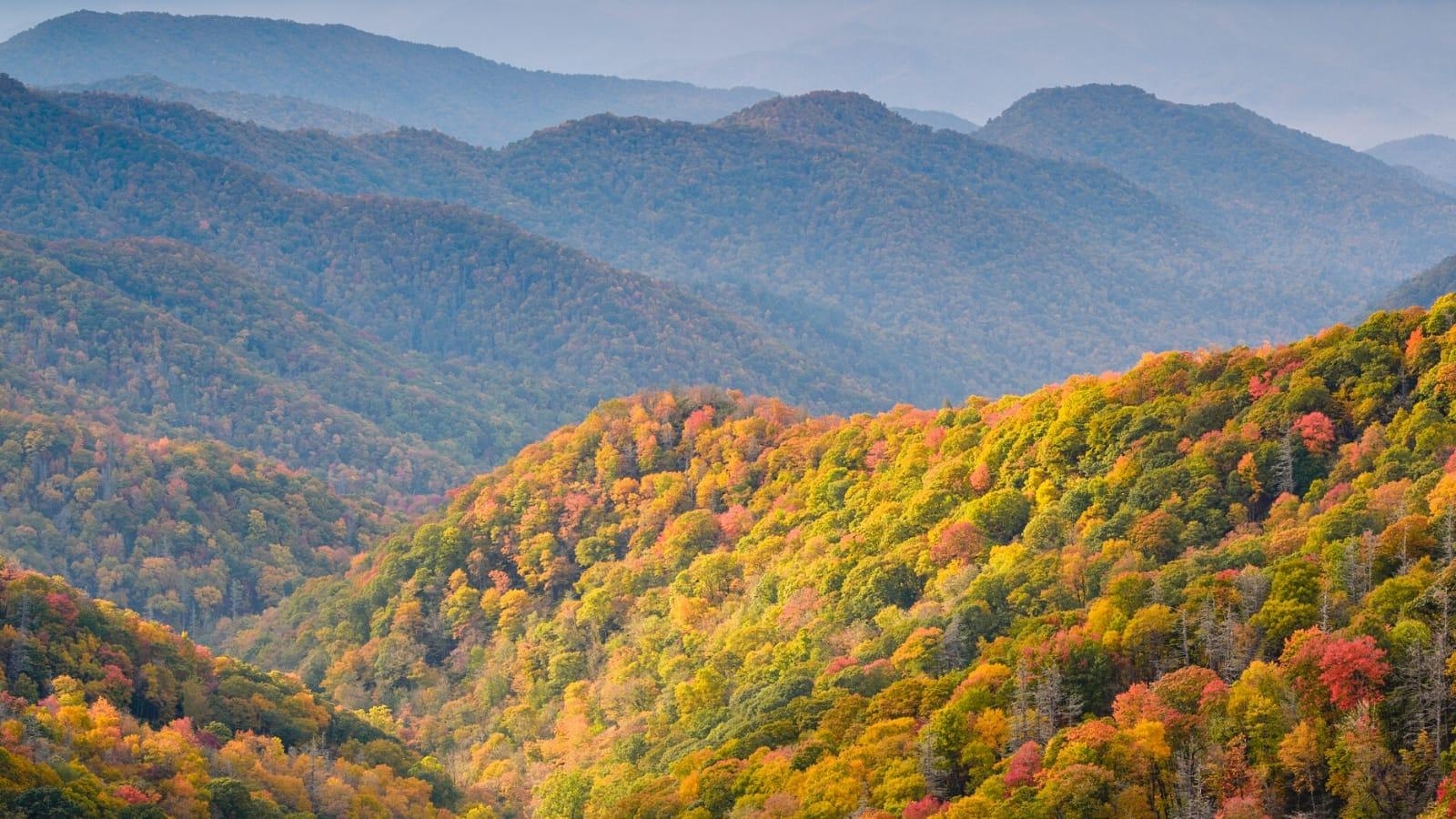 Smoky Mountains, Top Aktivitäten, USA, Natur, Freizeit, 1600x900 HD Desktop