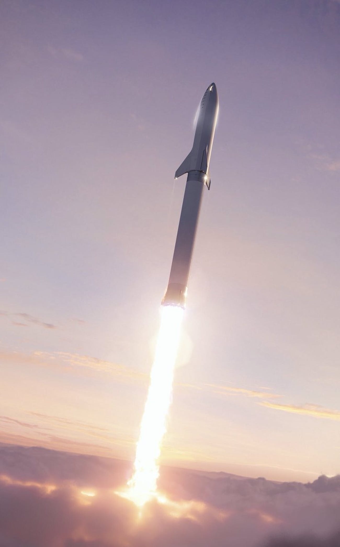 SpaceX, Elon Musk, BFR, Bild, Details, 1300x2090 HD Handy