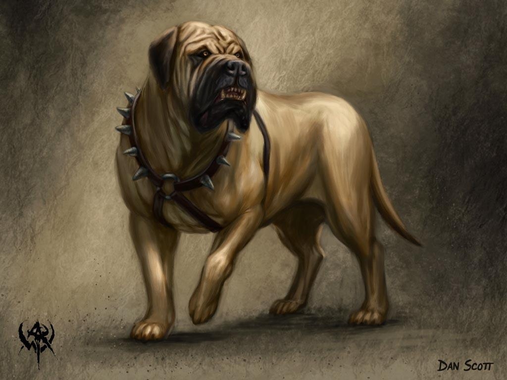 Englischer Mastiff, Hundebild, HD, Mastiff, Tier, 1030x770 HD Desktop