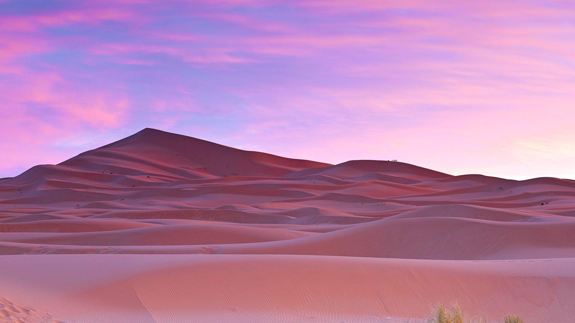 Palmen, Sahara, Marokko, Reisen, Wüste, 1920x1080 Full HD Desktop