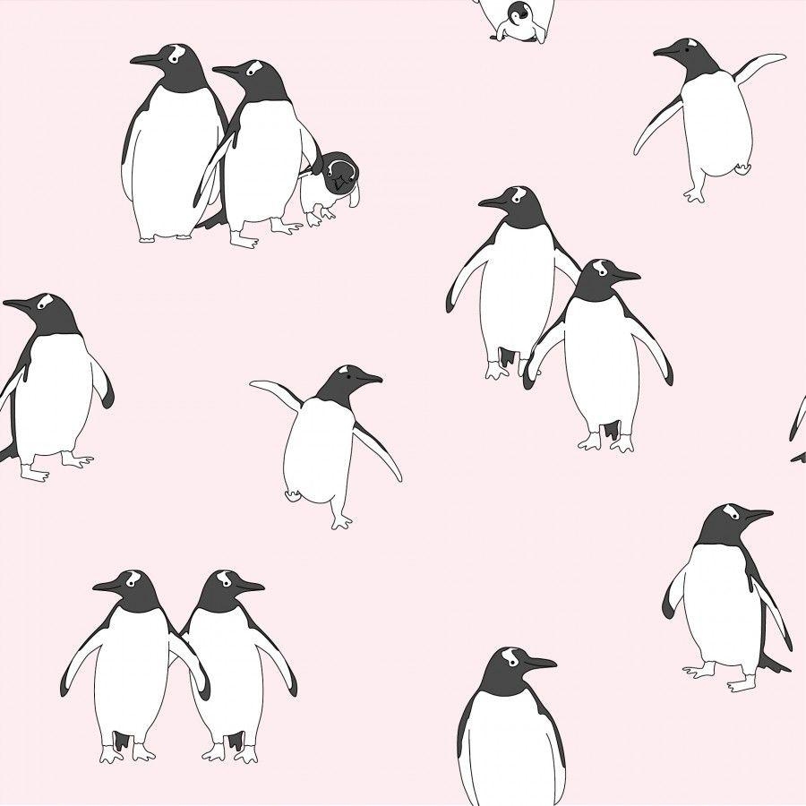 Pinguin, Blassrosa, Hintergrund, Dekor, Tier, 900x900 HD Handy