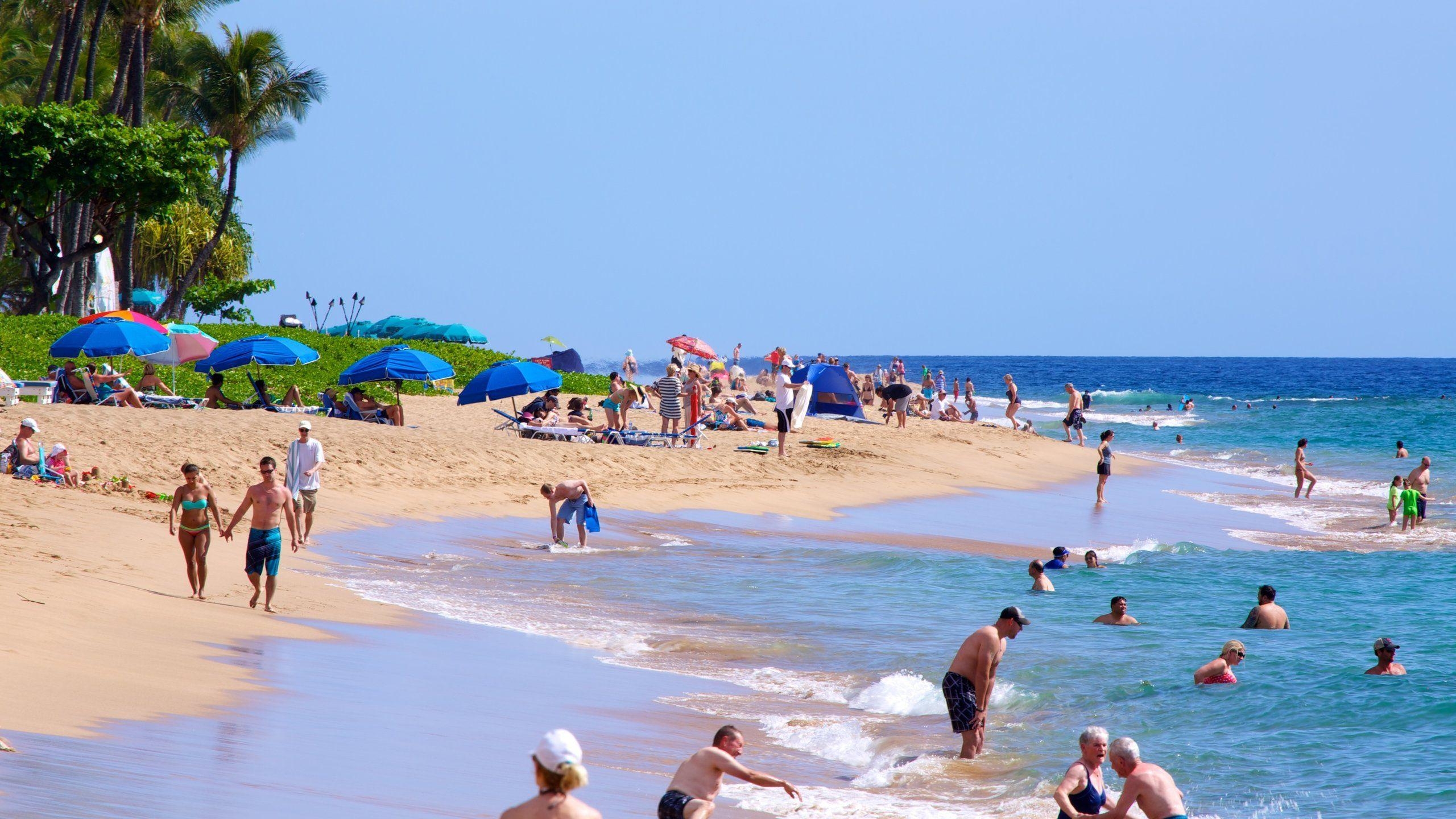 Kaanapali Beach, Maui, Lahaina Reisen, Tropischer Strand, Hawaii, 2560x1440 HD Desktop