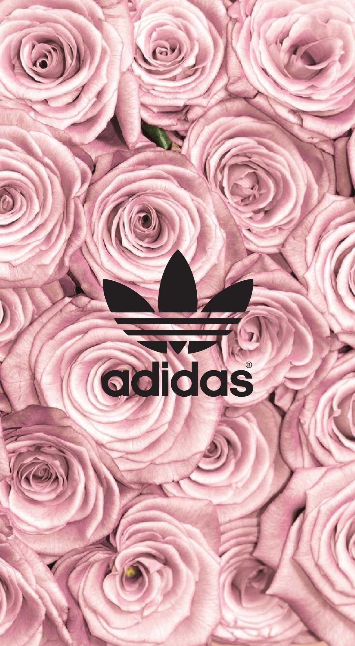 Rosen, Tapete, Adidas, Hintergrund, Natur, 1150x2090 HD Handy