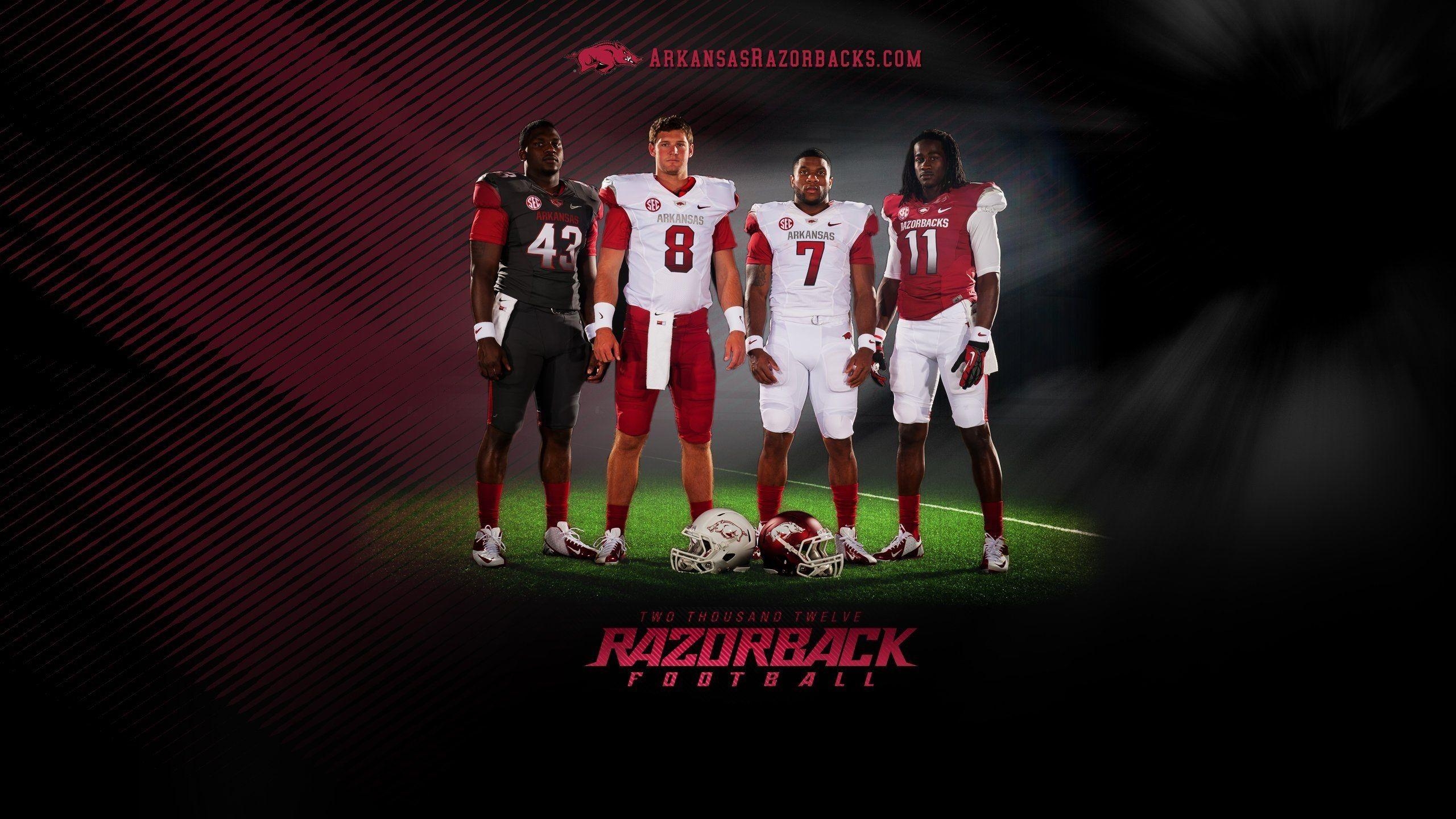 Razorback, Arkansas, Football, Team, Hintergrundbild, 2560x1440 HD Desktop