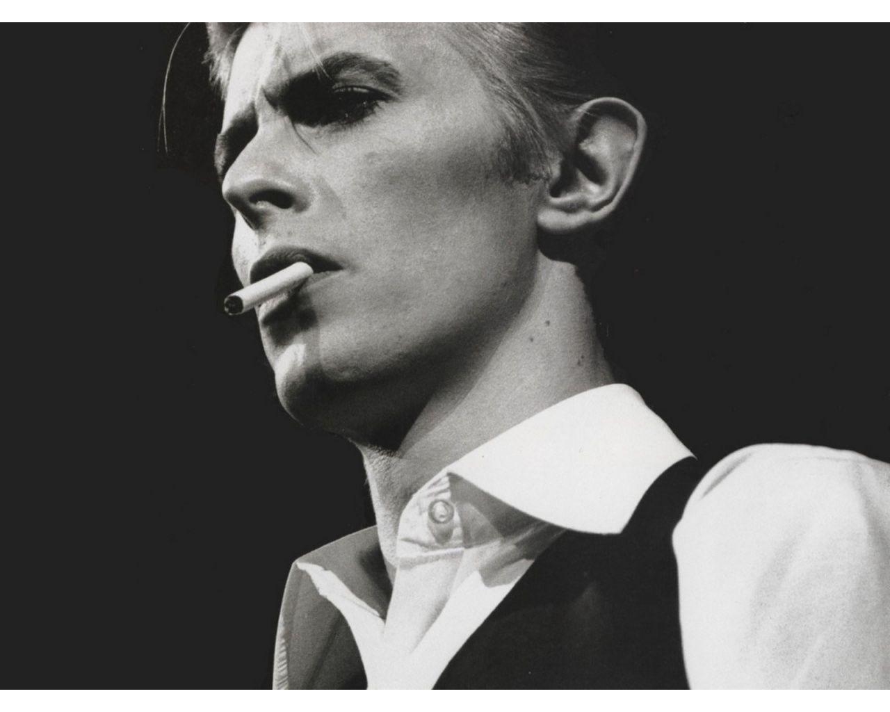 David Bowie, Musik, Wallpaper, Künstler, Legende, 1280x1030 HD Desktop