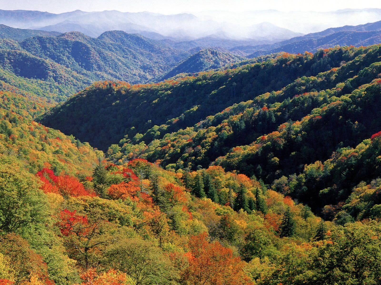 North Carolina, Great Smoky Mountains, Natur, HD Hintergrund, Fotografie, 1600x1200 HD Desktop