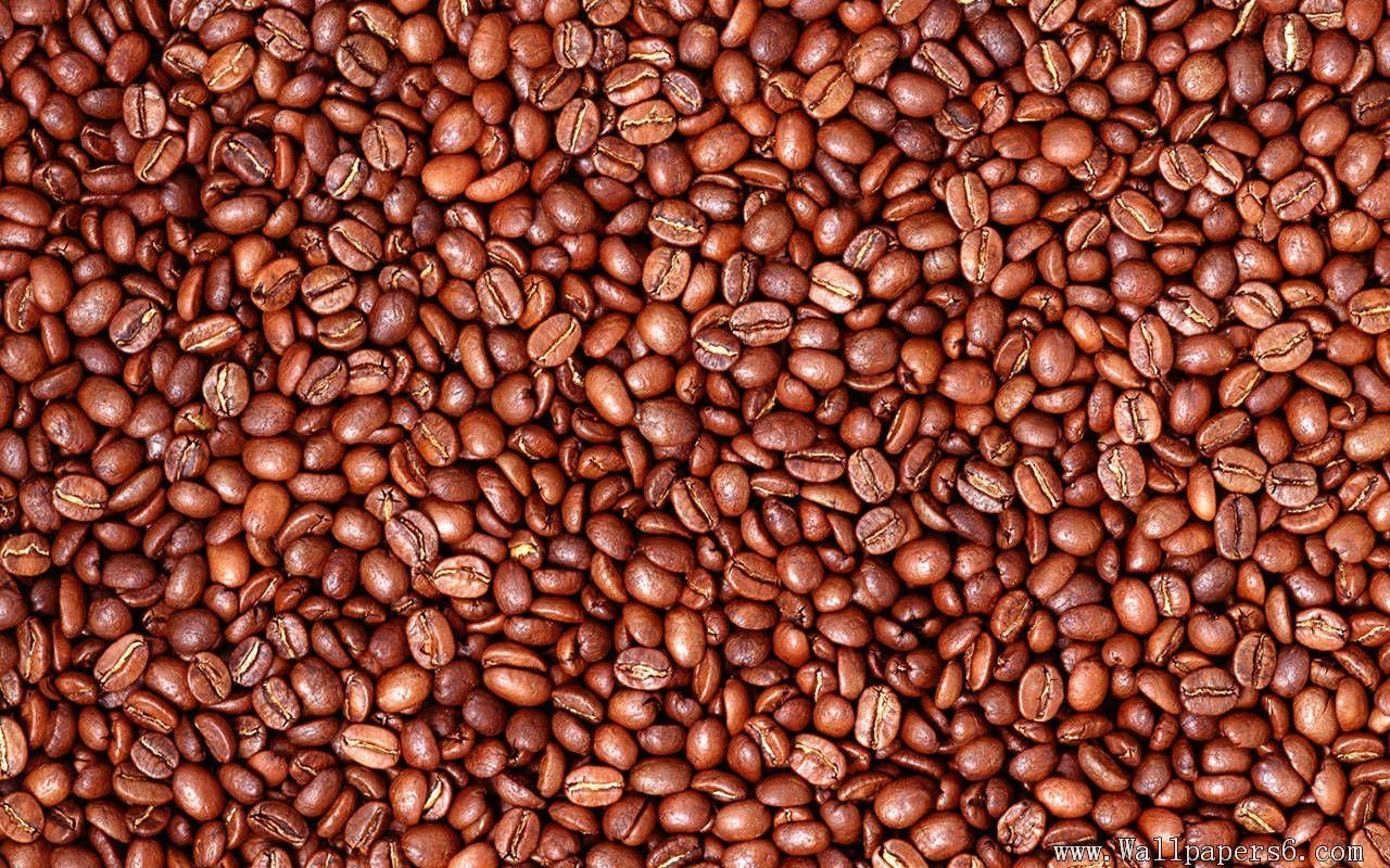 Kaffeebohnen, Kostenloser Download, Fotohintergrund, Bohnen, Kaffee, 1280x800 HD Desktop