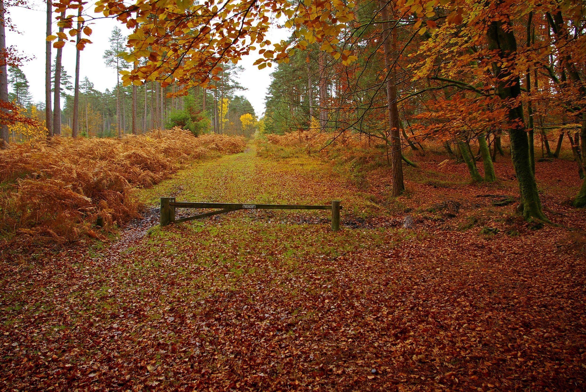 New Hampshire, Reisen, Natur, Landschaft, USA, 2490x1670 HD Desktop