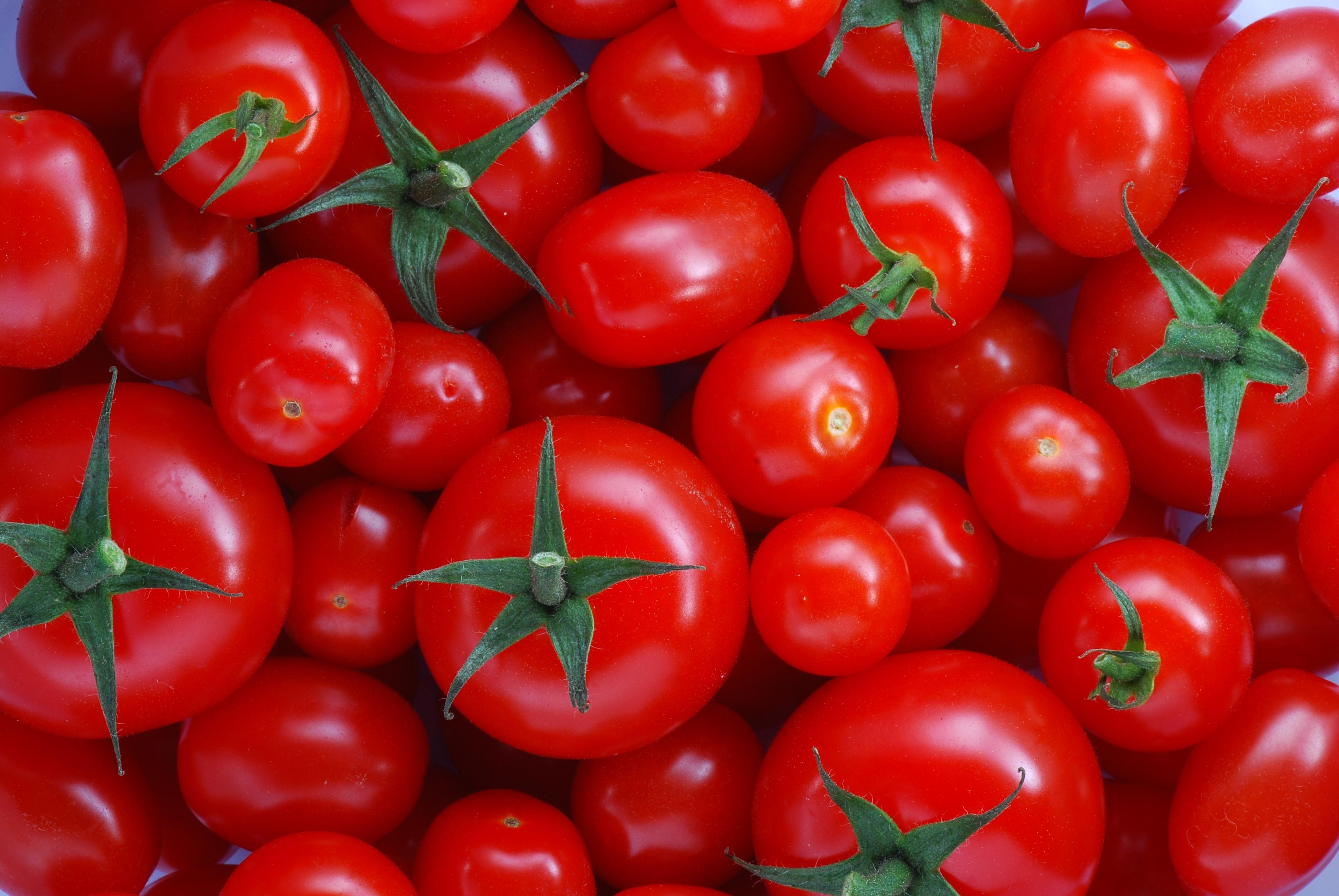 Tomate, Bild, Hintergrund, Gemüse, Essen, 3880x2600 4K Desktop