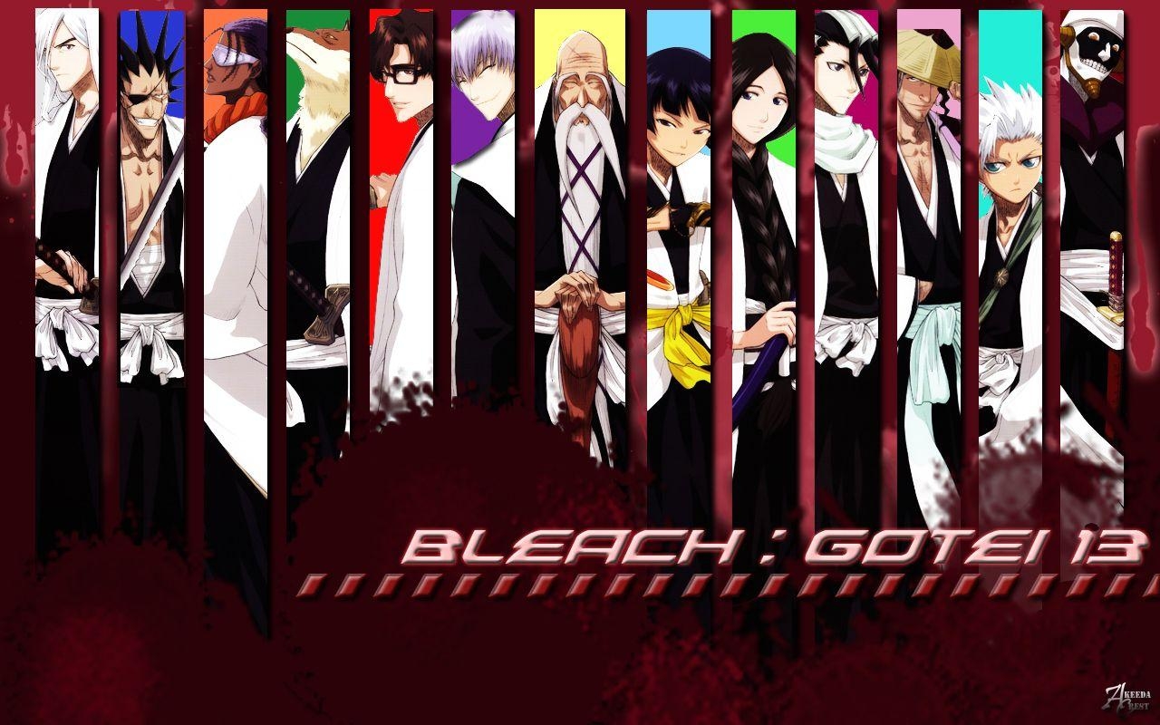 Bleach Anime, Hauptmann, Seelengesellschaft, Kapitäne, Charaktere, 1280x800 HD Desktop