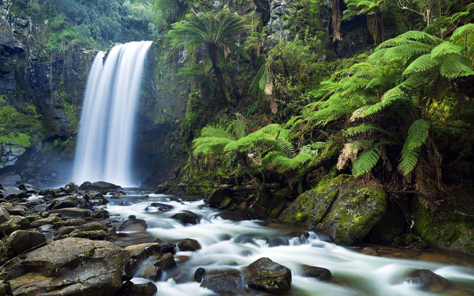 Wasserfall, HD, Hintergrund, Natur, Schönheit, 1920x1200 HD Desktop