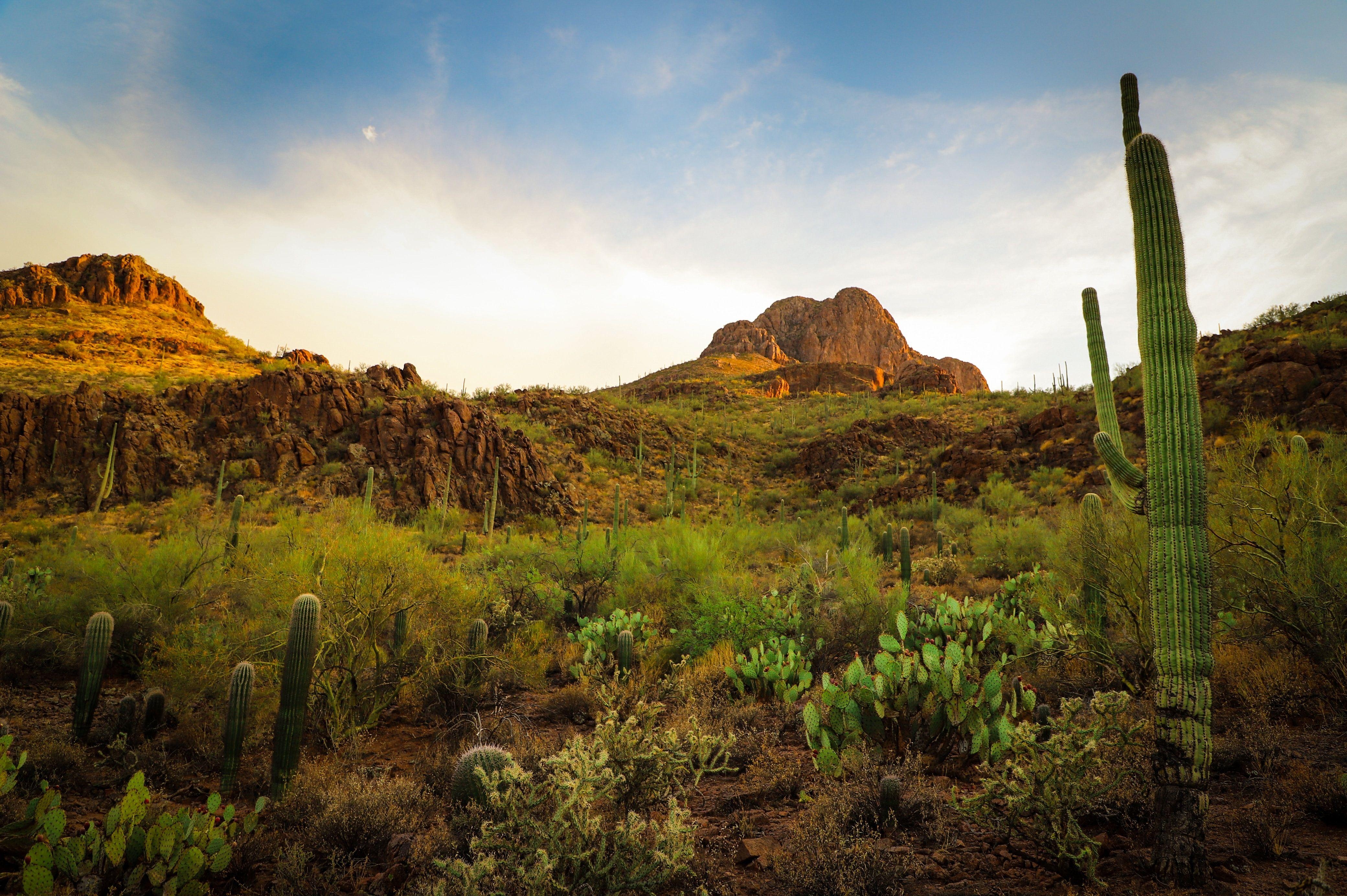 Sombrero Peak, Tucson, Foto, Berge, Landschaft, 4160x2770 4K Desktop