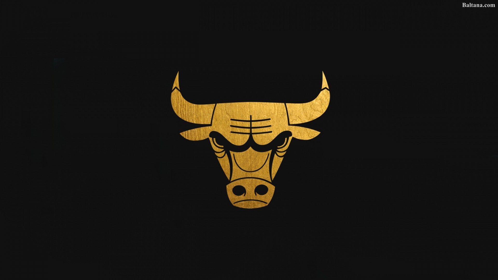 Chicago Bulls, Desktop, Sportbegeistert, NBA, Arena, 1920x1080 Full HD Desktop