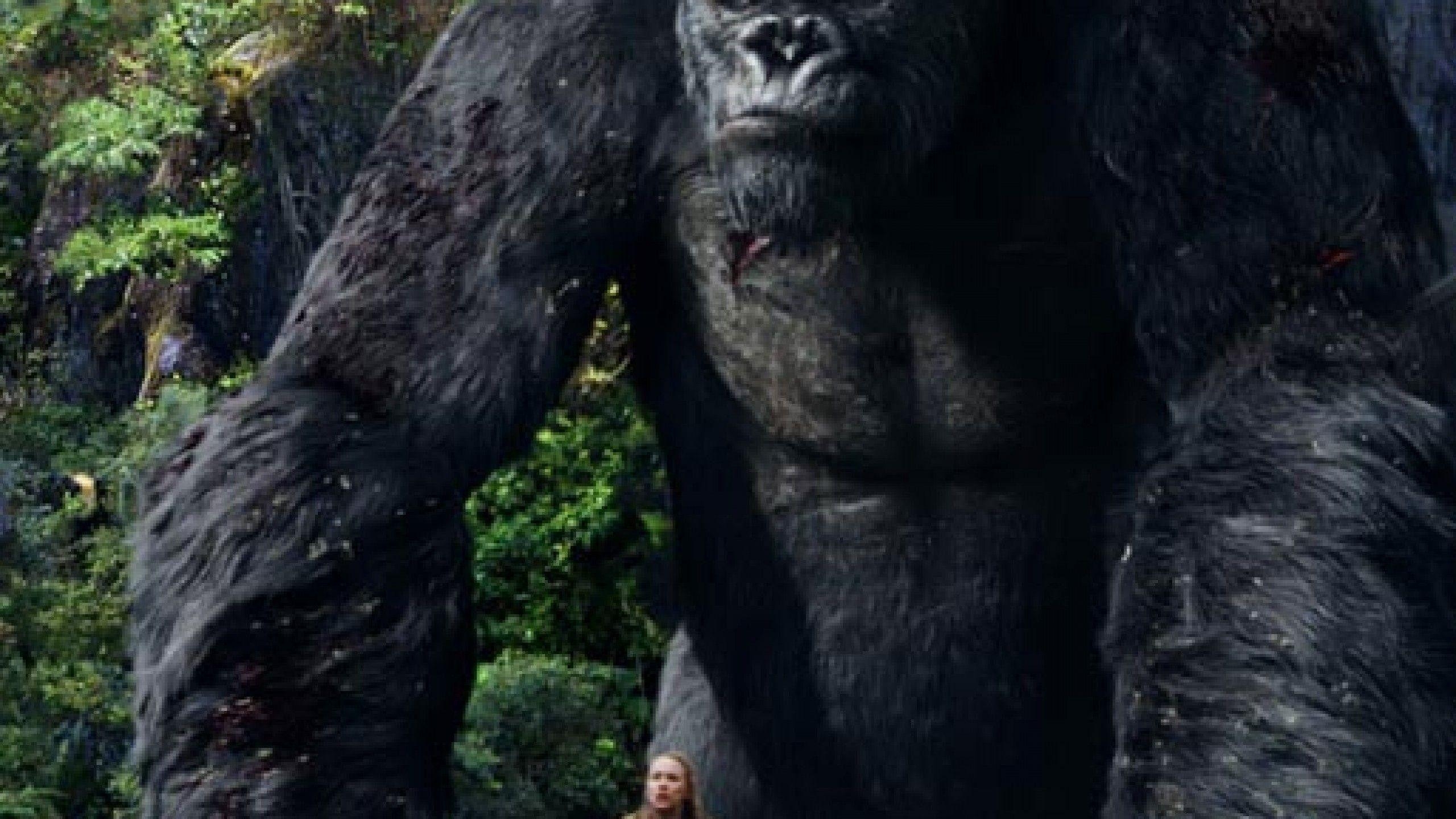 King Kong, Abenteuer, Film, Hintergrund, Monster, 2560x1440 HD Desktop