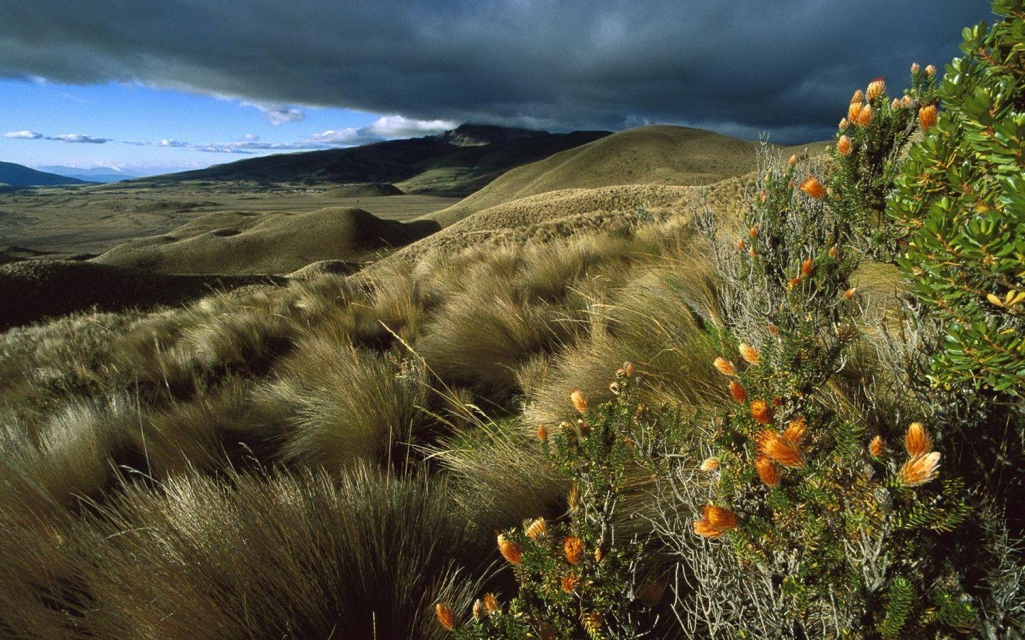 Ecuador, Atemberaubend, Widescreen, Hintergründe, Natur, 1440x900 HD Desktop